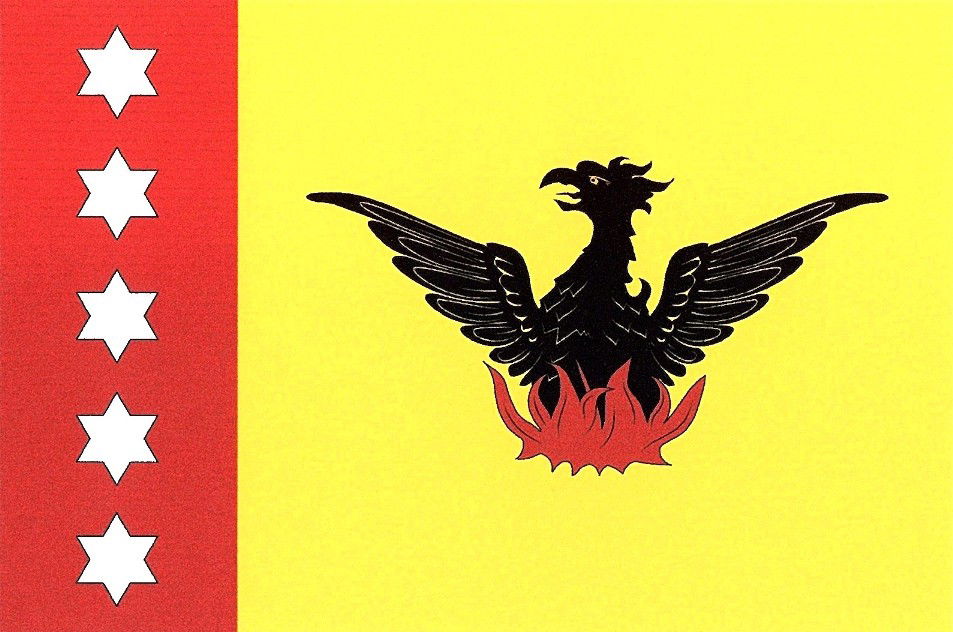 Flag of Telenești, Moldova