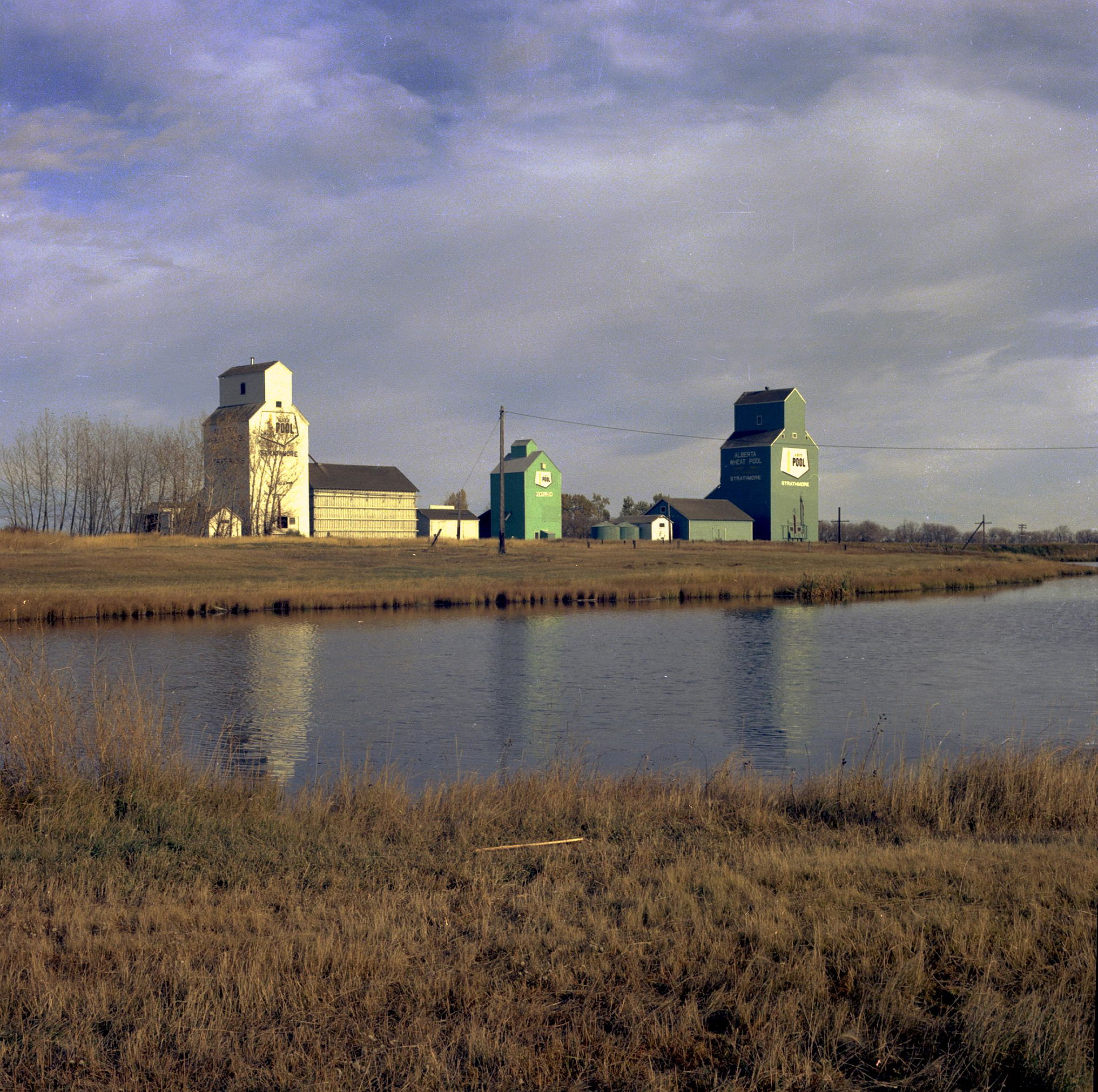 Alberta Wheat Pool grain elevators in Strathmore, Alberta.