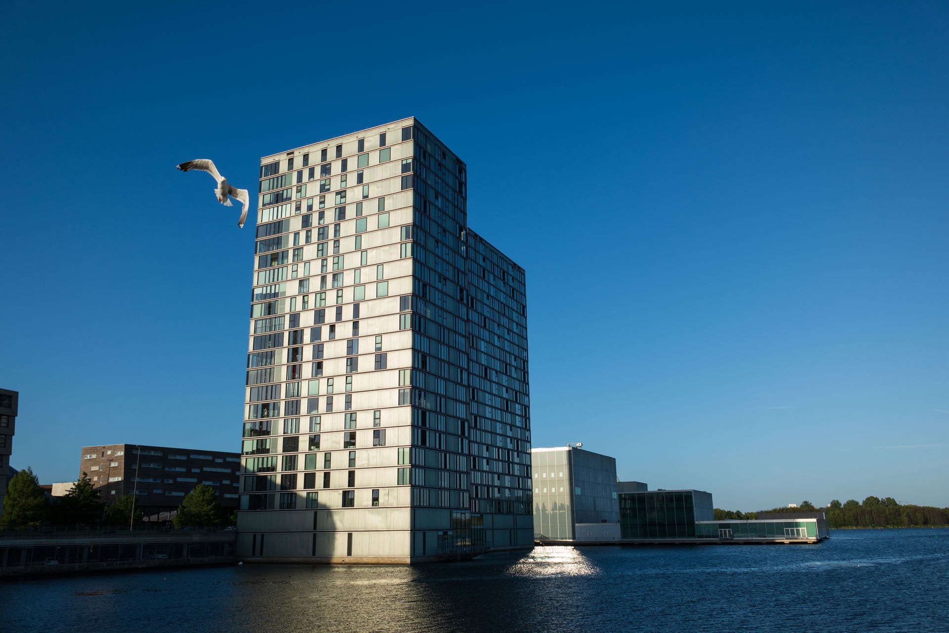 Almere, the Netherlands, Province Flavoland, residential houses…