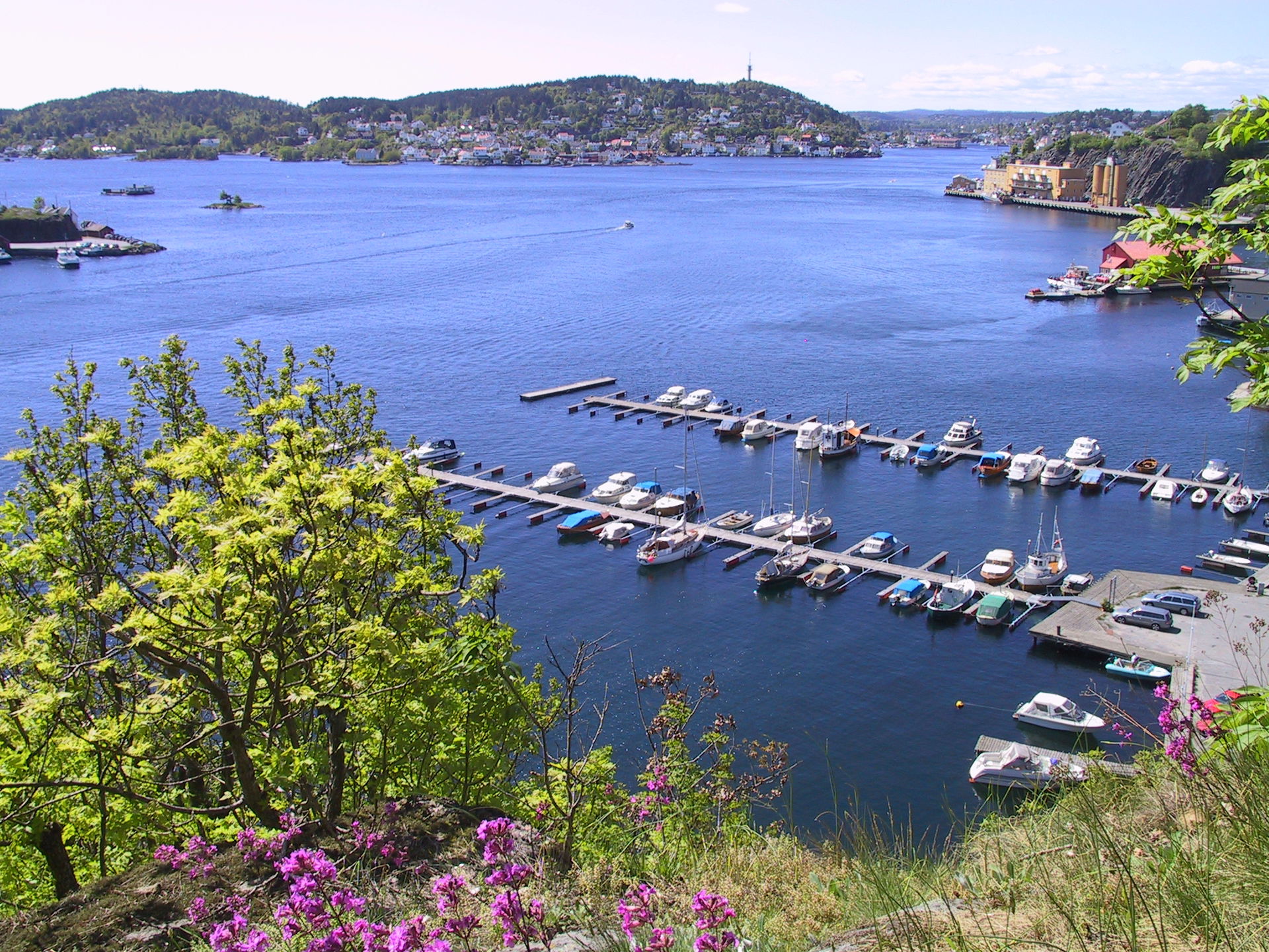 Byfjorden i Arendal