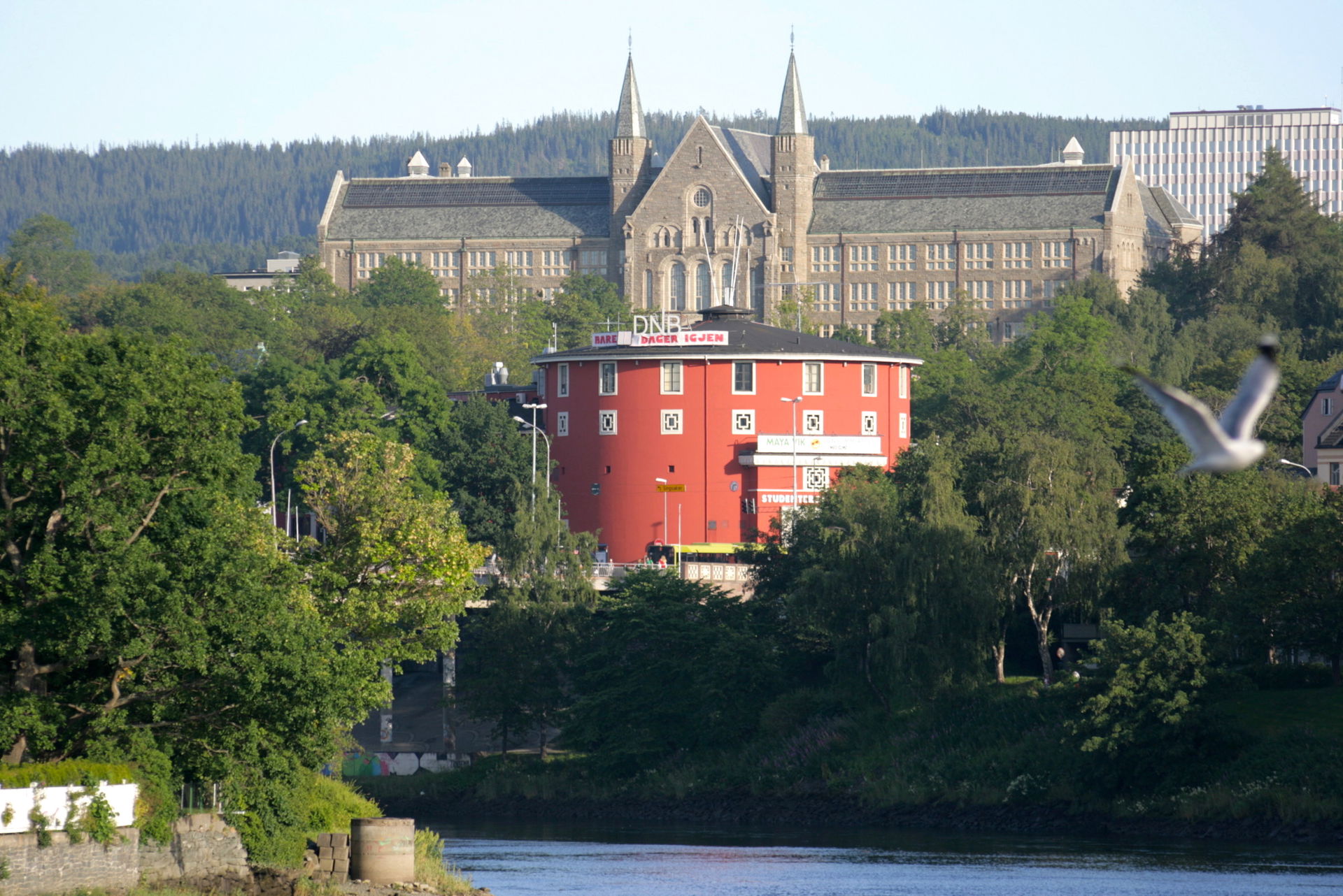 Trondheim student house (front, red) and university (back)