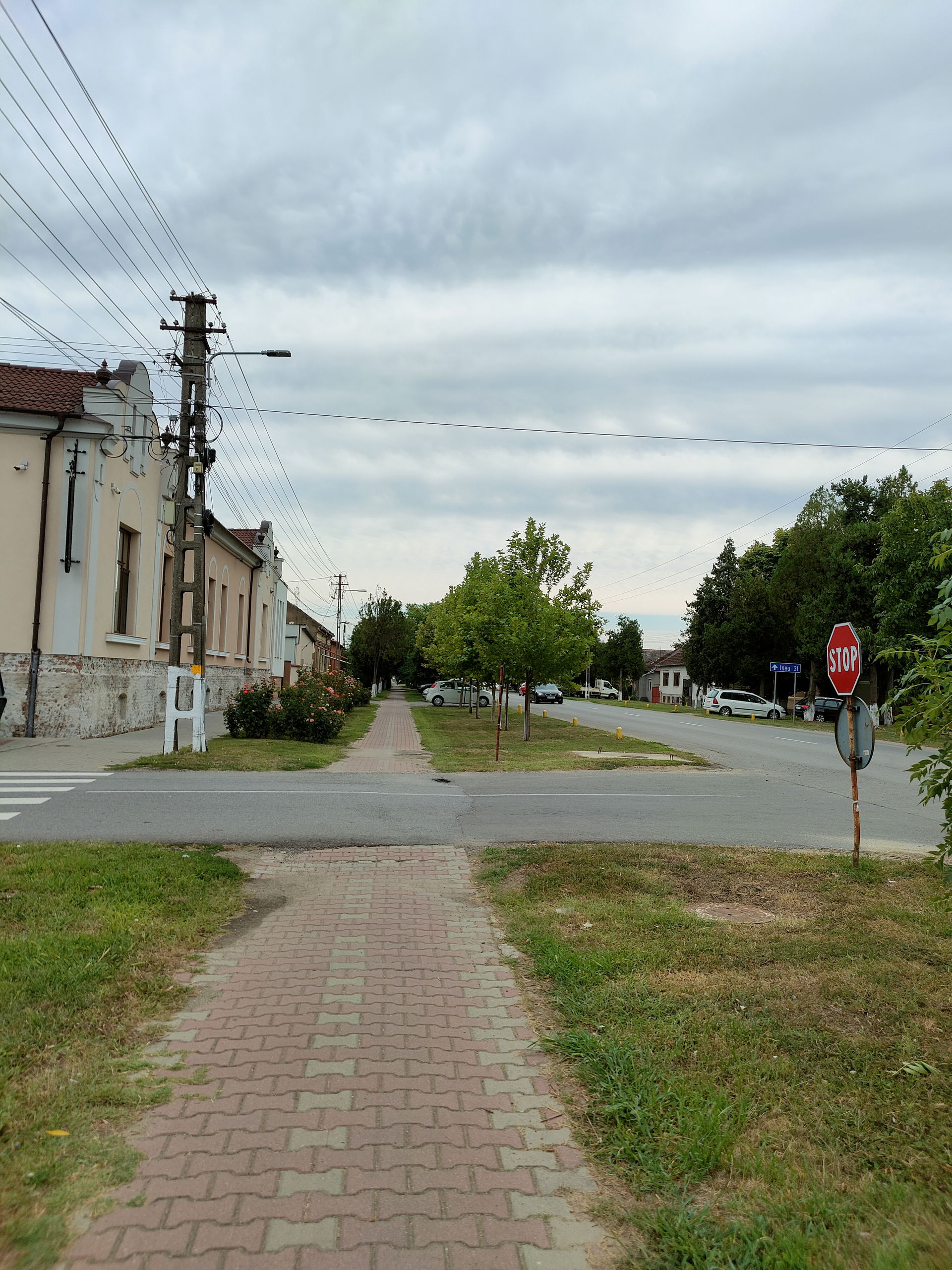 Route à Chișineu-Criș