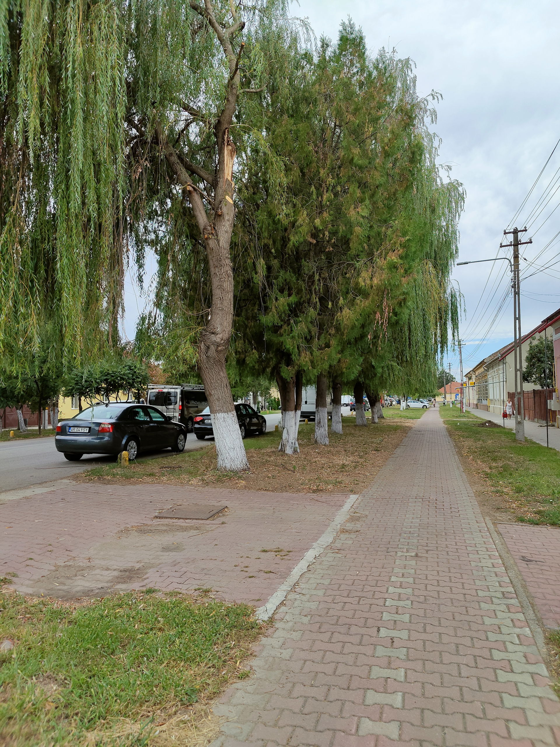 Route à Chișineu-Criș