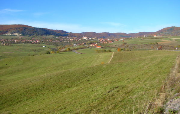 Dealu