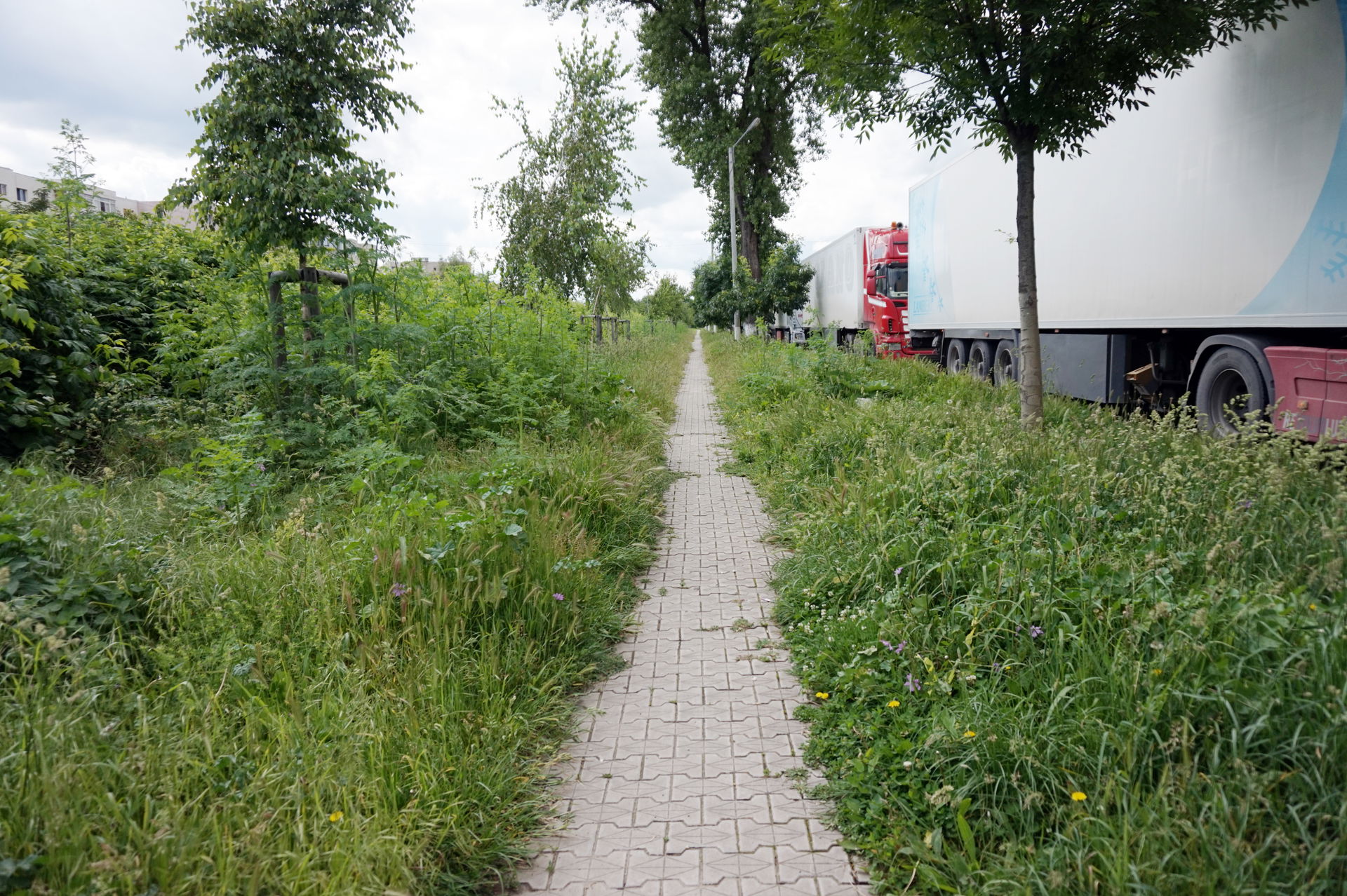 Walkway betwee grass in Giurgiu, Romania.