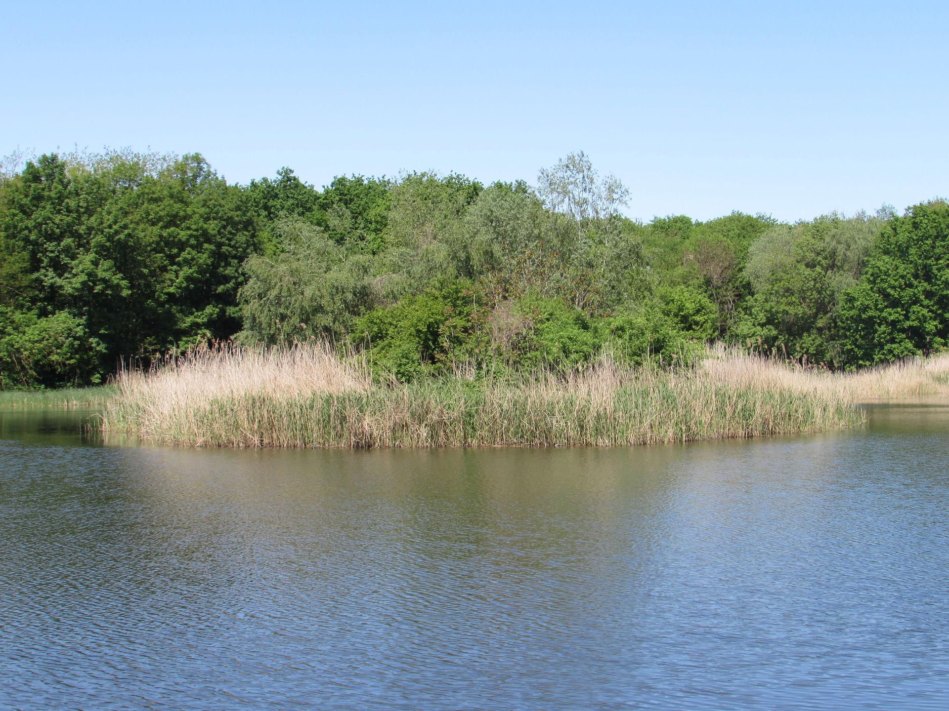 The lake from the Botanical Garden in Iași
