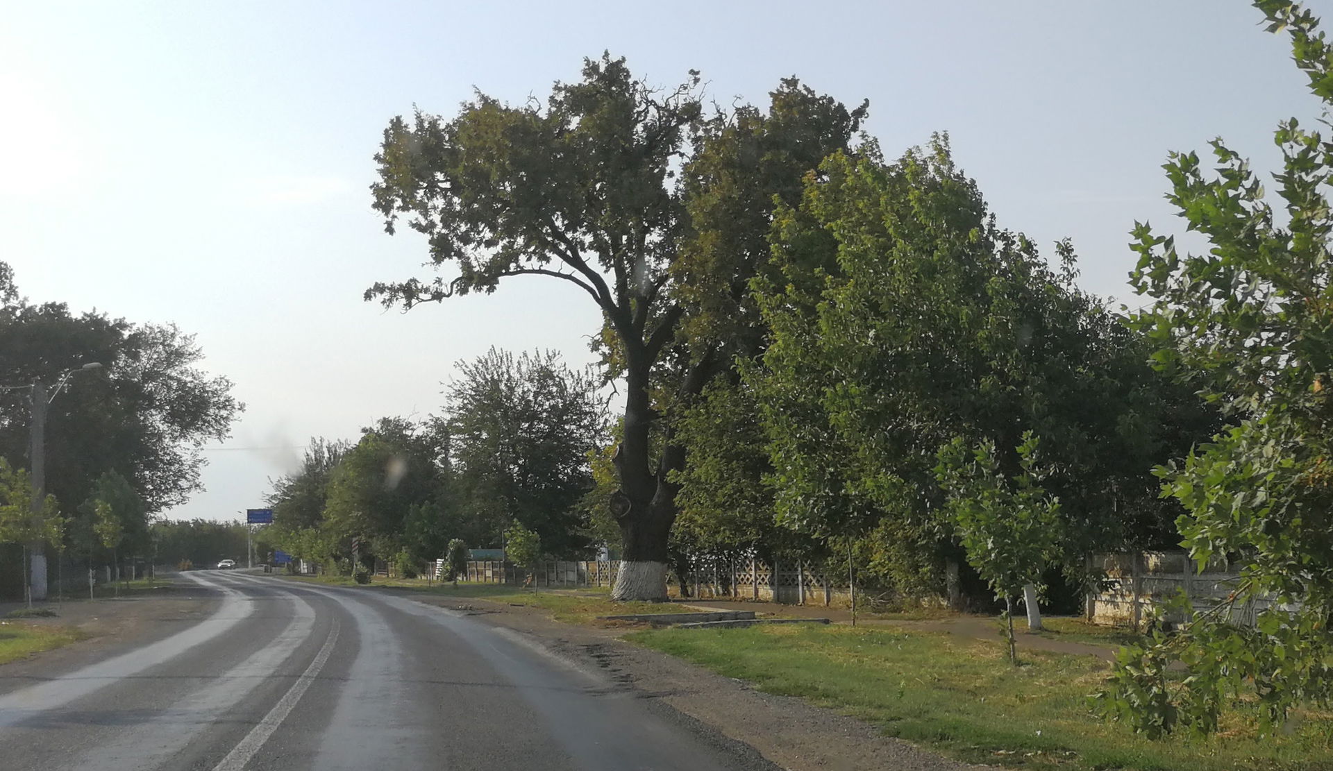 Lehliu Gară, Călărași County, Romania