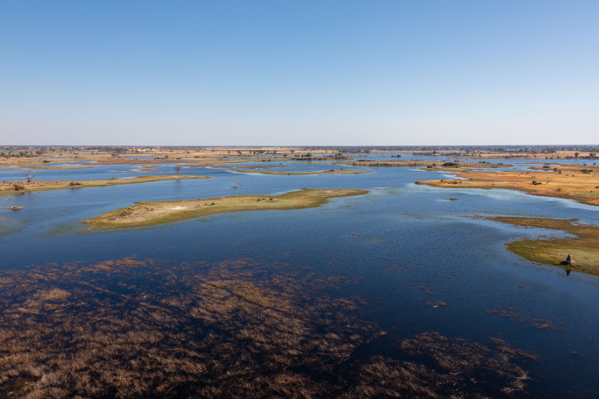 Aerial view of Okavango Delta, Botswana
