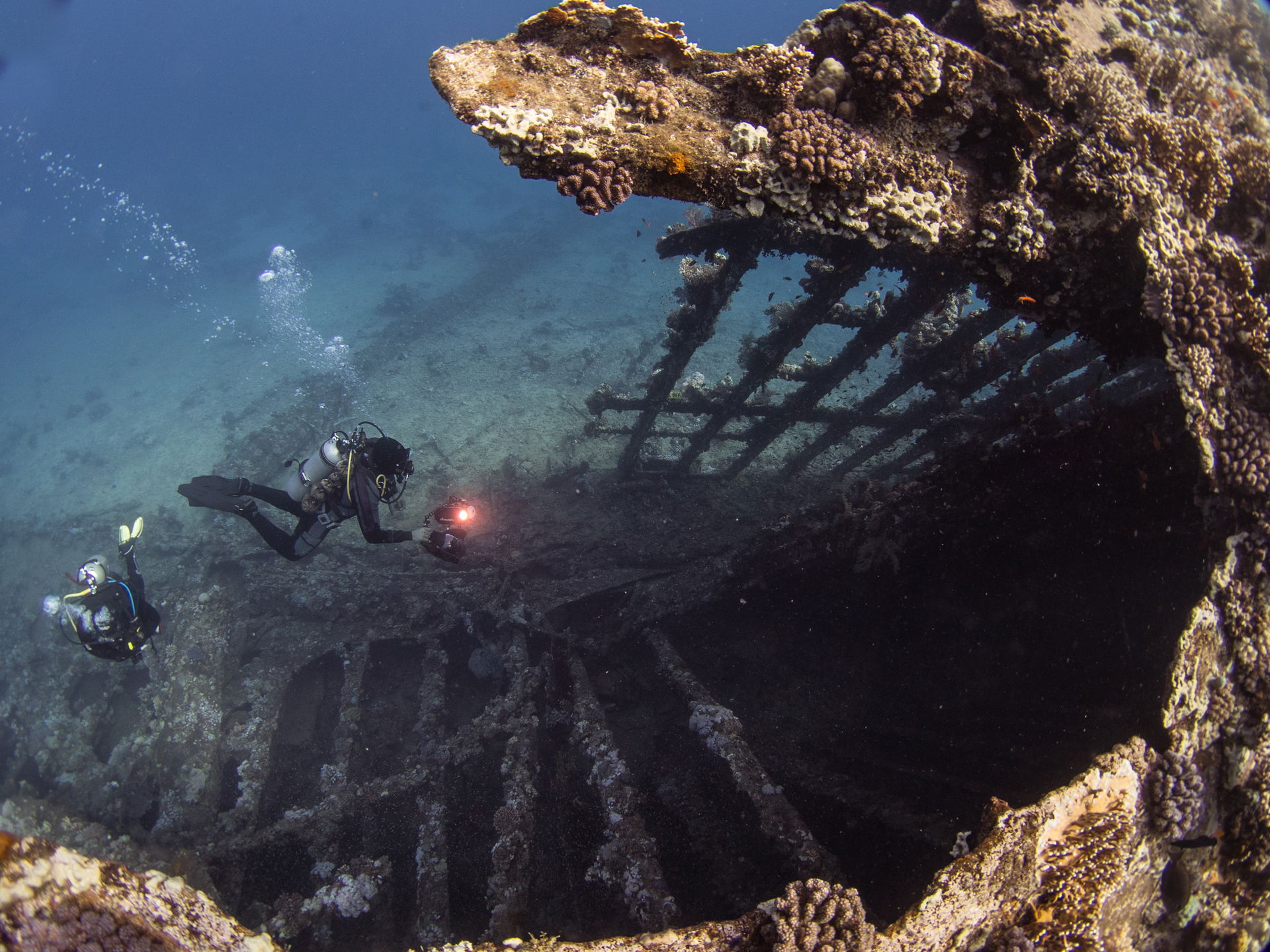 Wreck of the SS Carnatic (built 1862) in the Red Sea, Egypt.