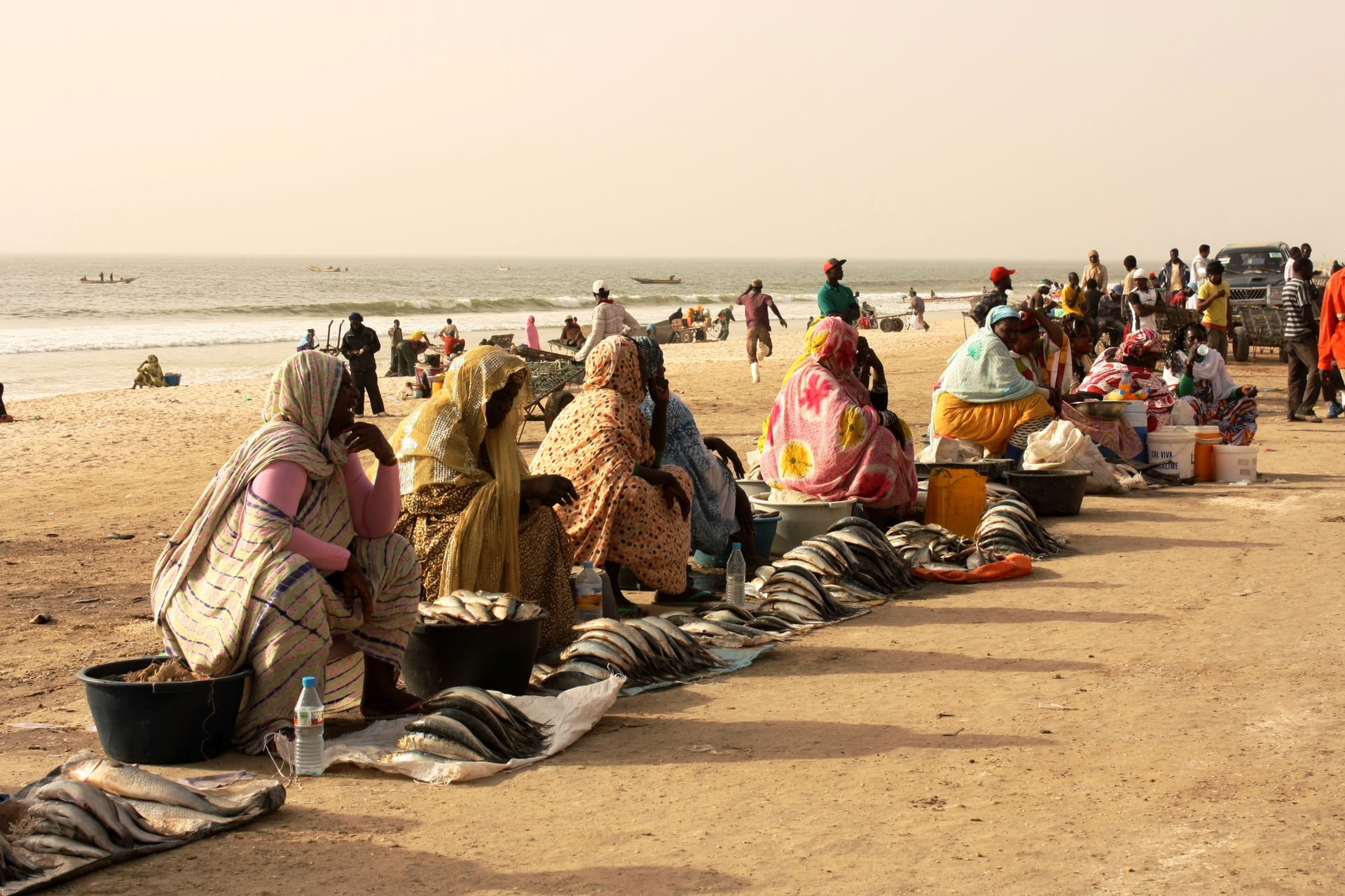 Women selling fish in front of the fish market in Nouakchott - …