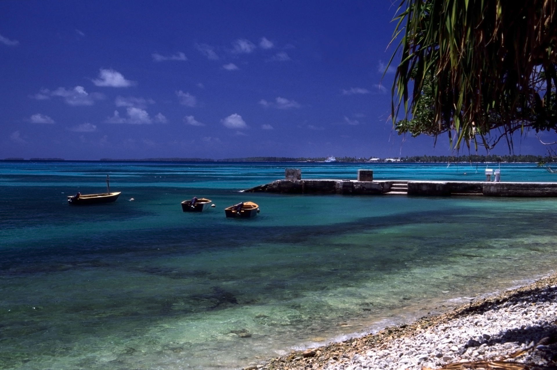 Beach of Funafuti Atoll, Tuvalu.