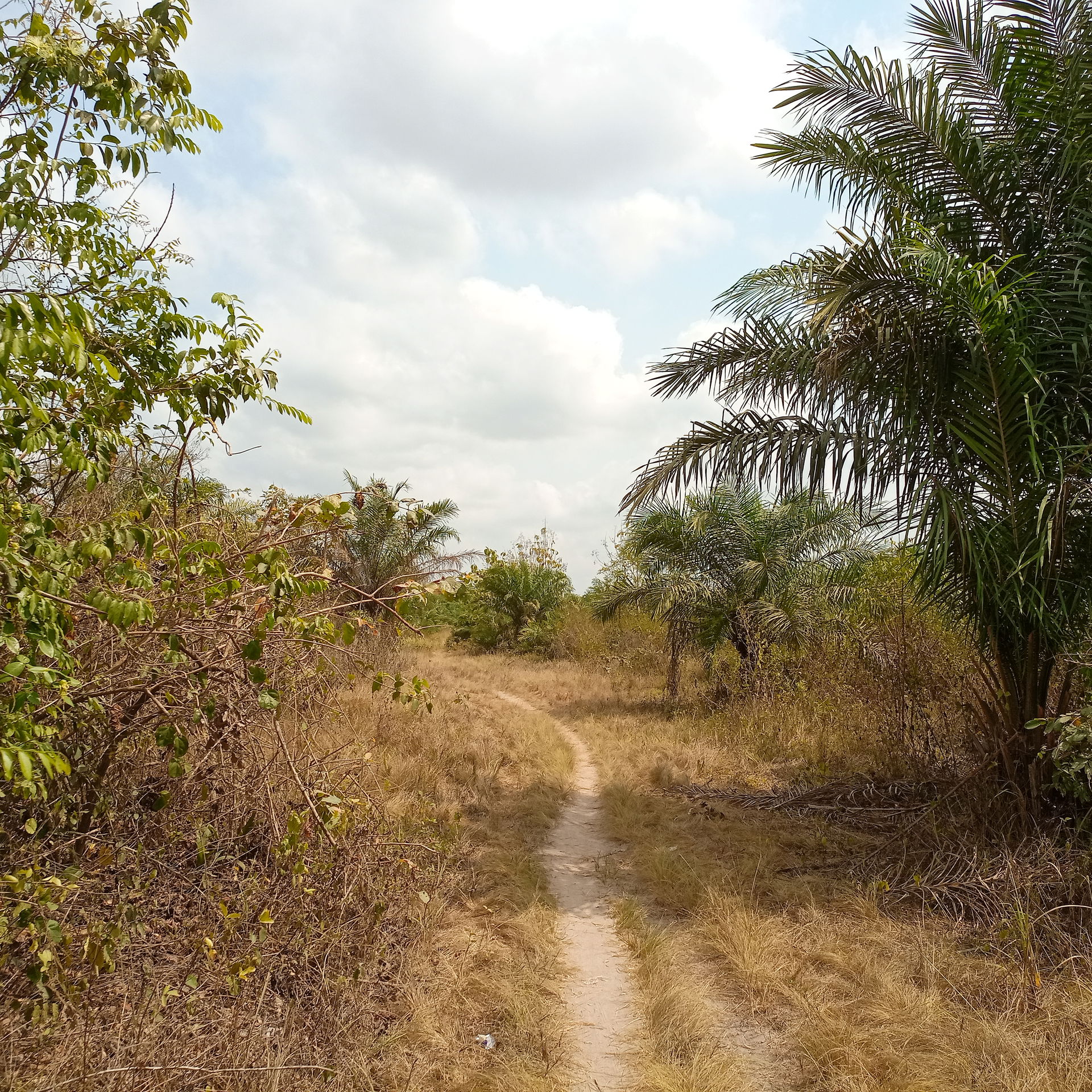 Pistes rurales Togo