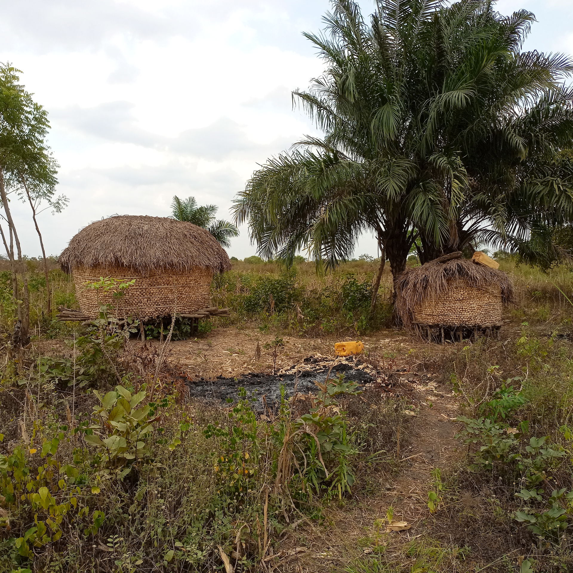 Grenier traditionnel (Vo au Togo)