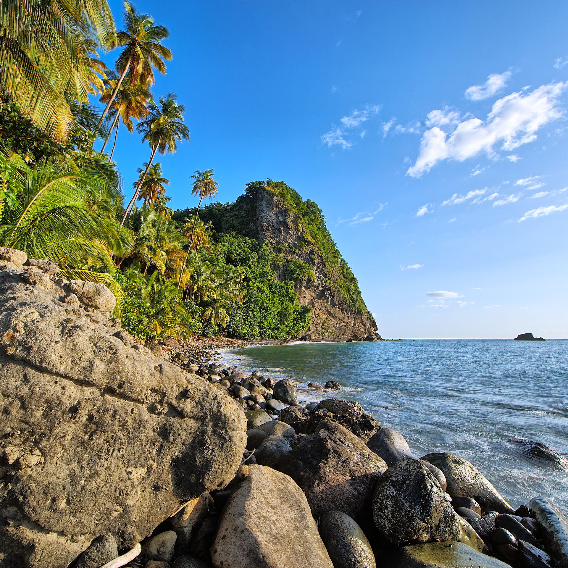 Martinique Anse Couleuvre