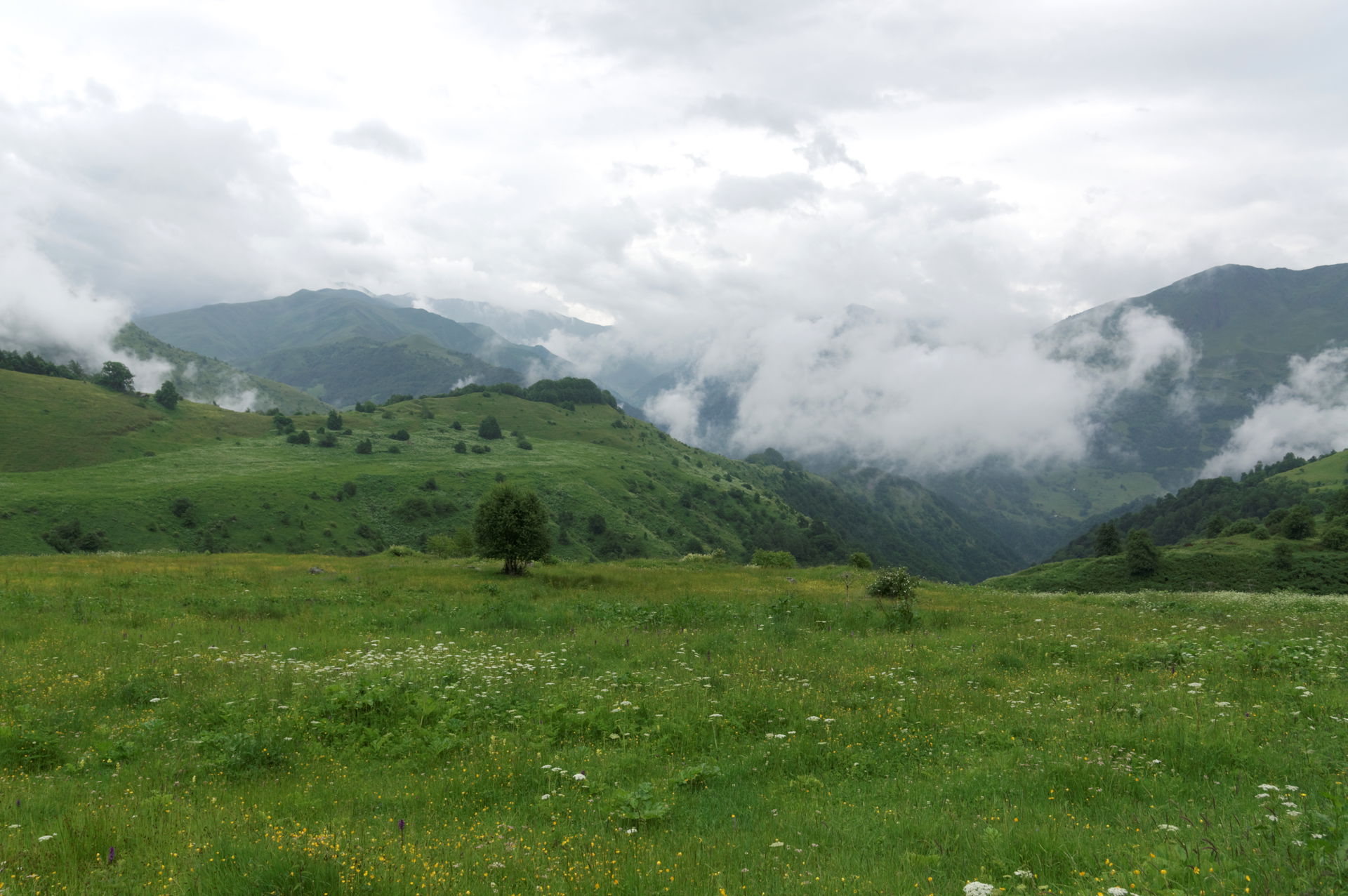 Abudelauri valley under clouds, early summer, Georgia.