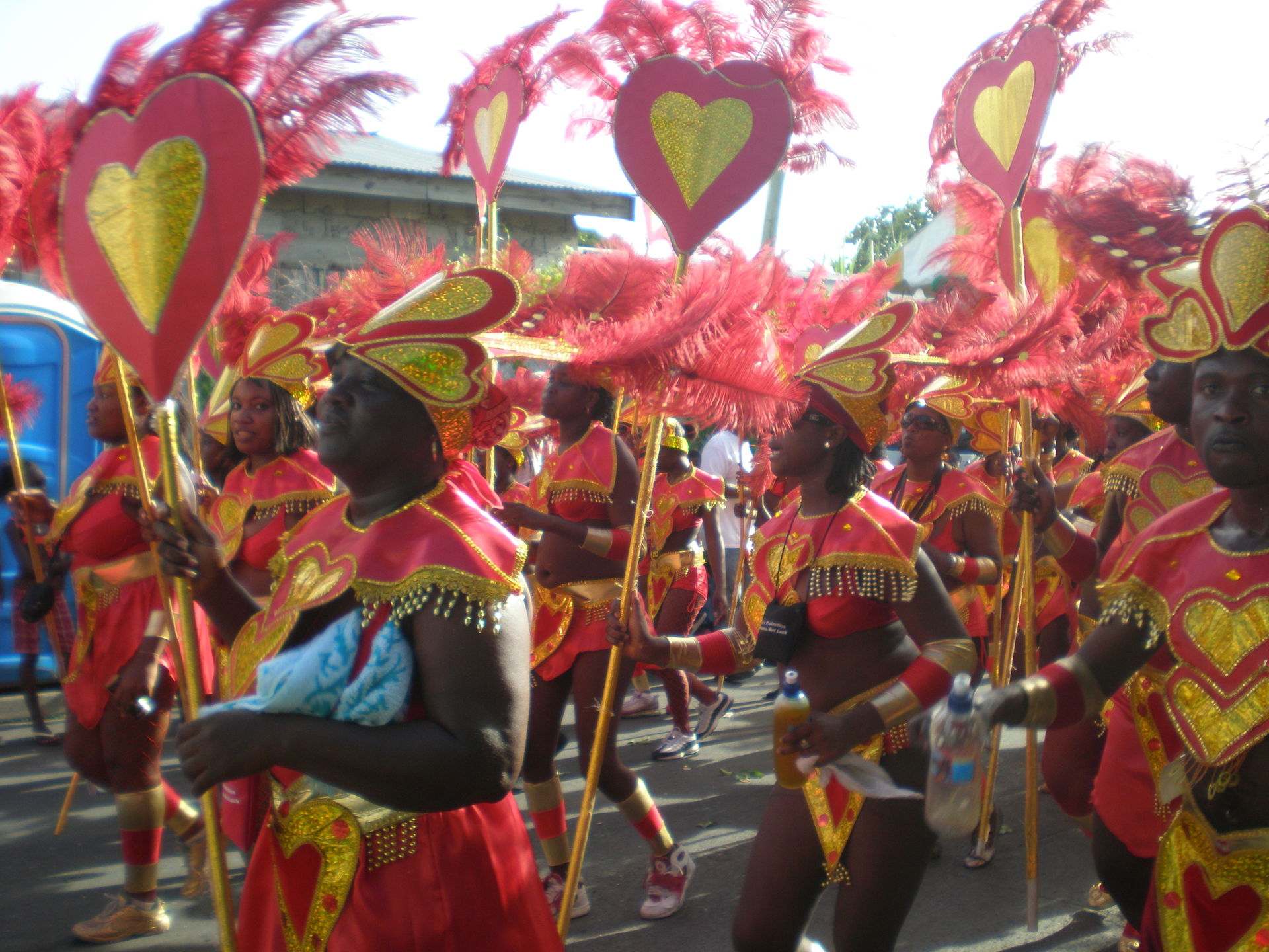 Antigua Carnival Revellers.