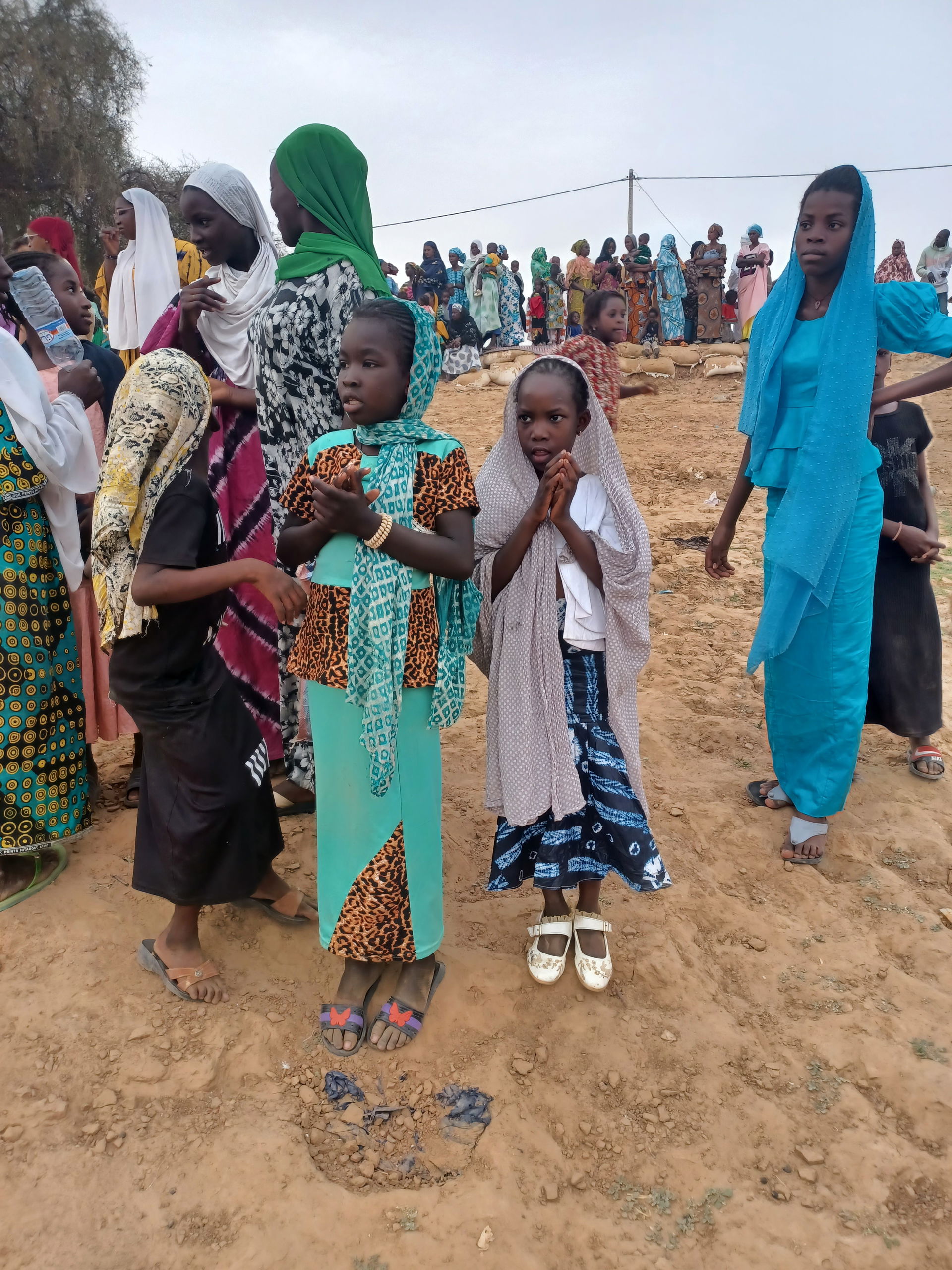 Senegal - 2025 Ecofest