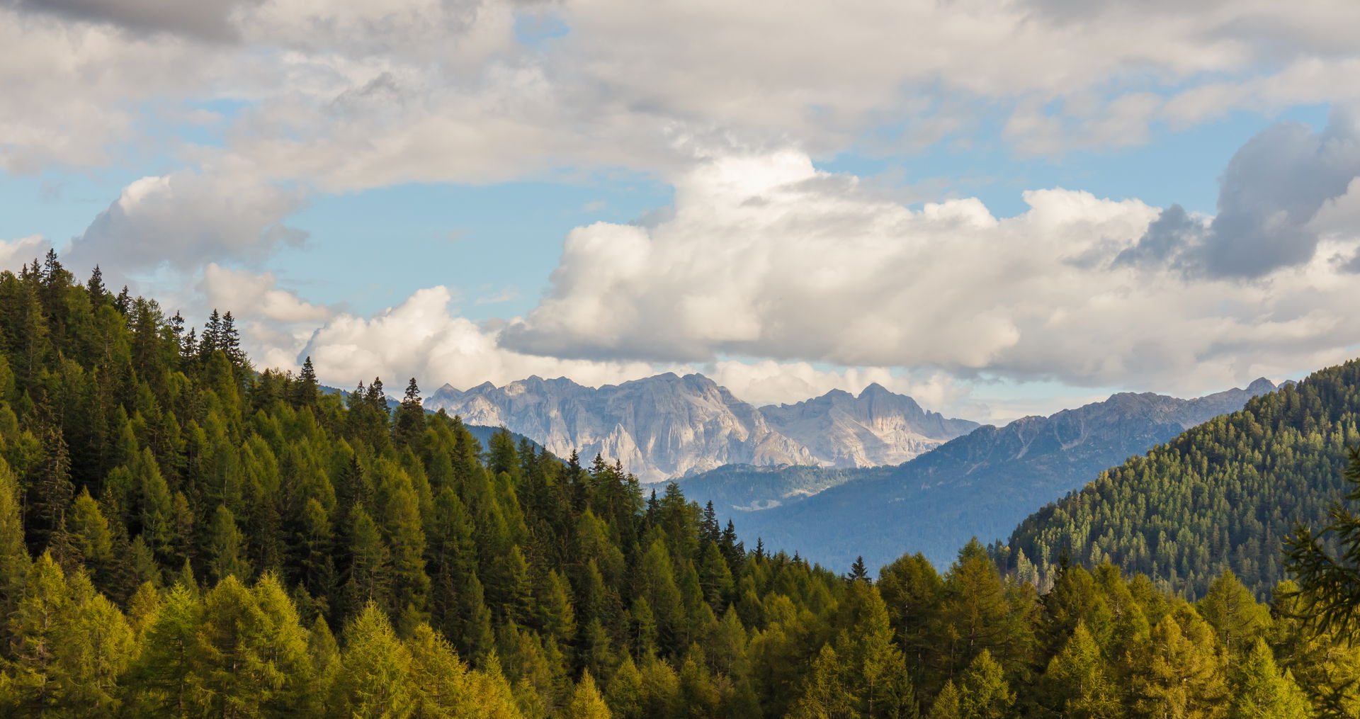 Mountain Walking Tour from Pejo to Lago Covel (1,839 m) in the …