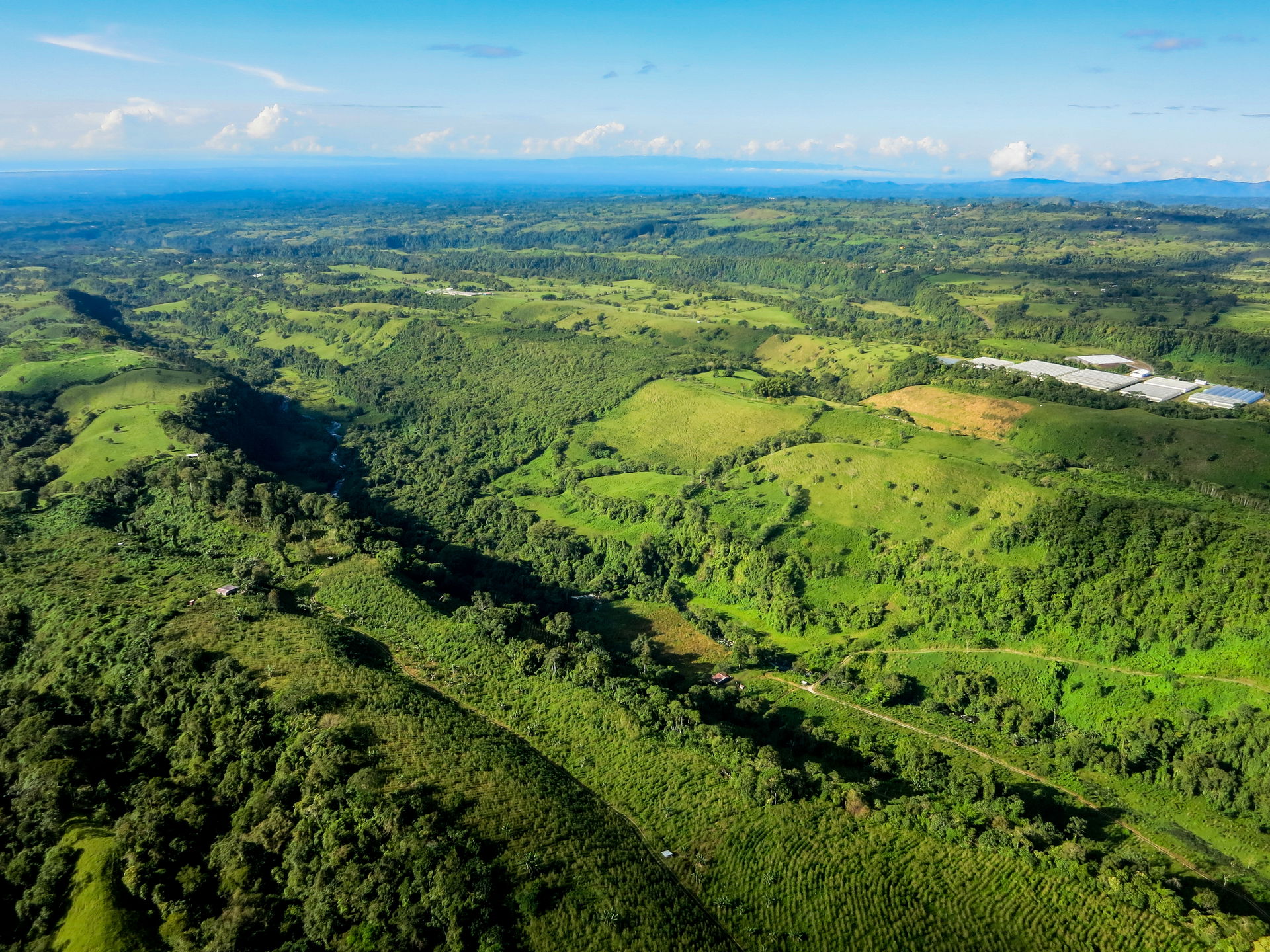 From a helicopter, November, 2014, Boquete, Panama, aerial view…