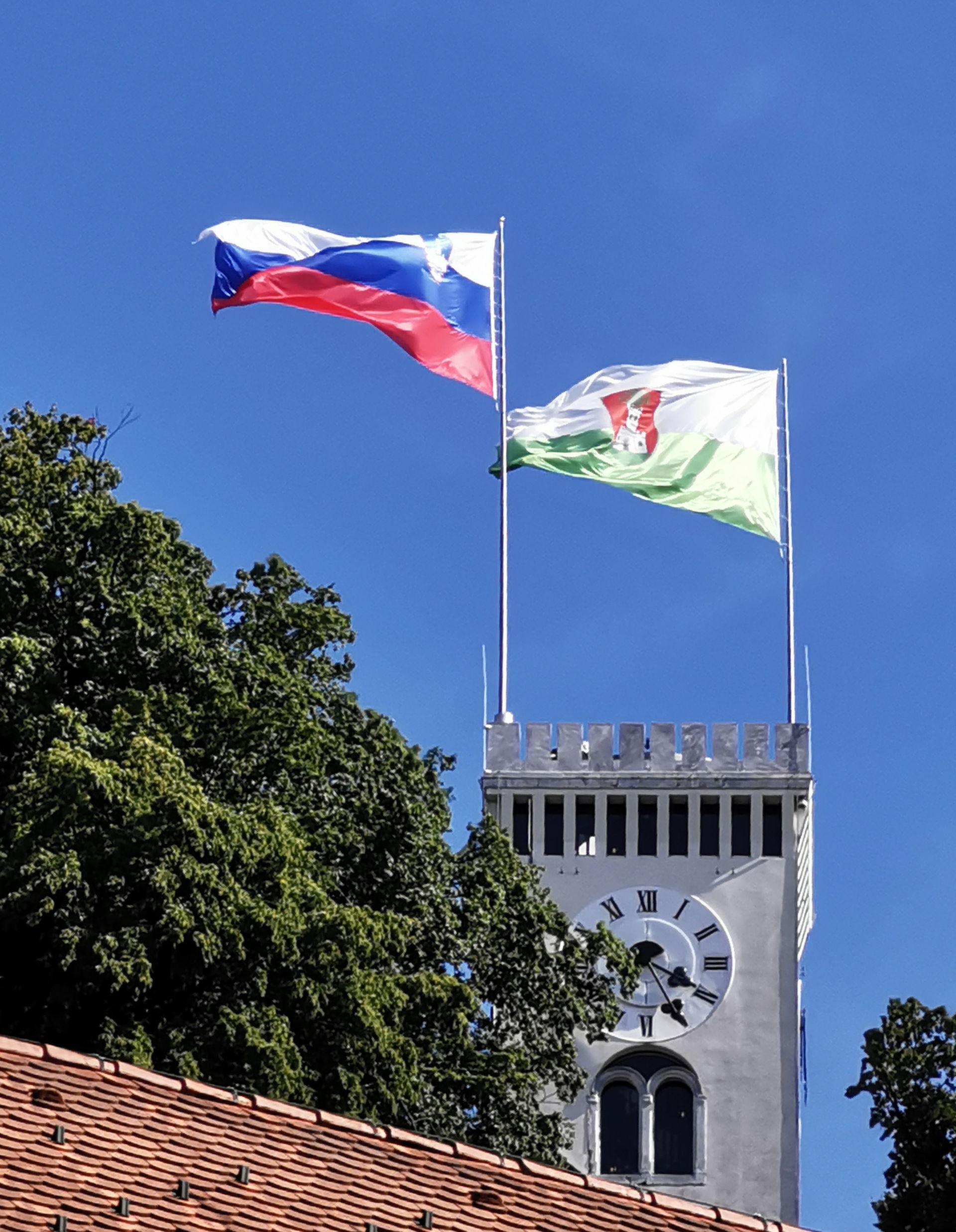 Blick auf Burg (Stadt- und Landesflagge)