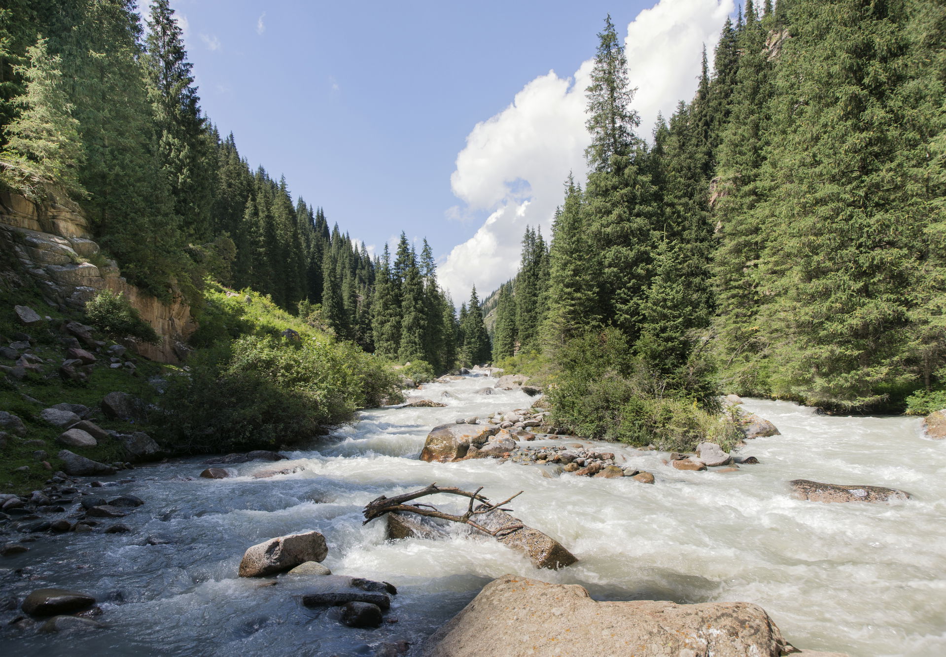 This is a photo of a protected area in Kyrgyzstan