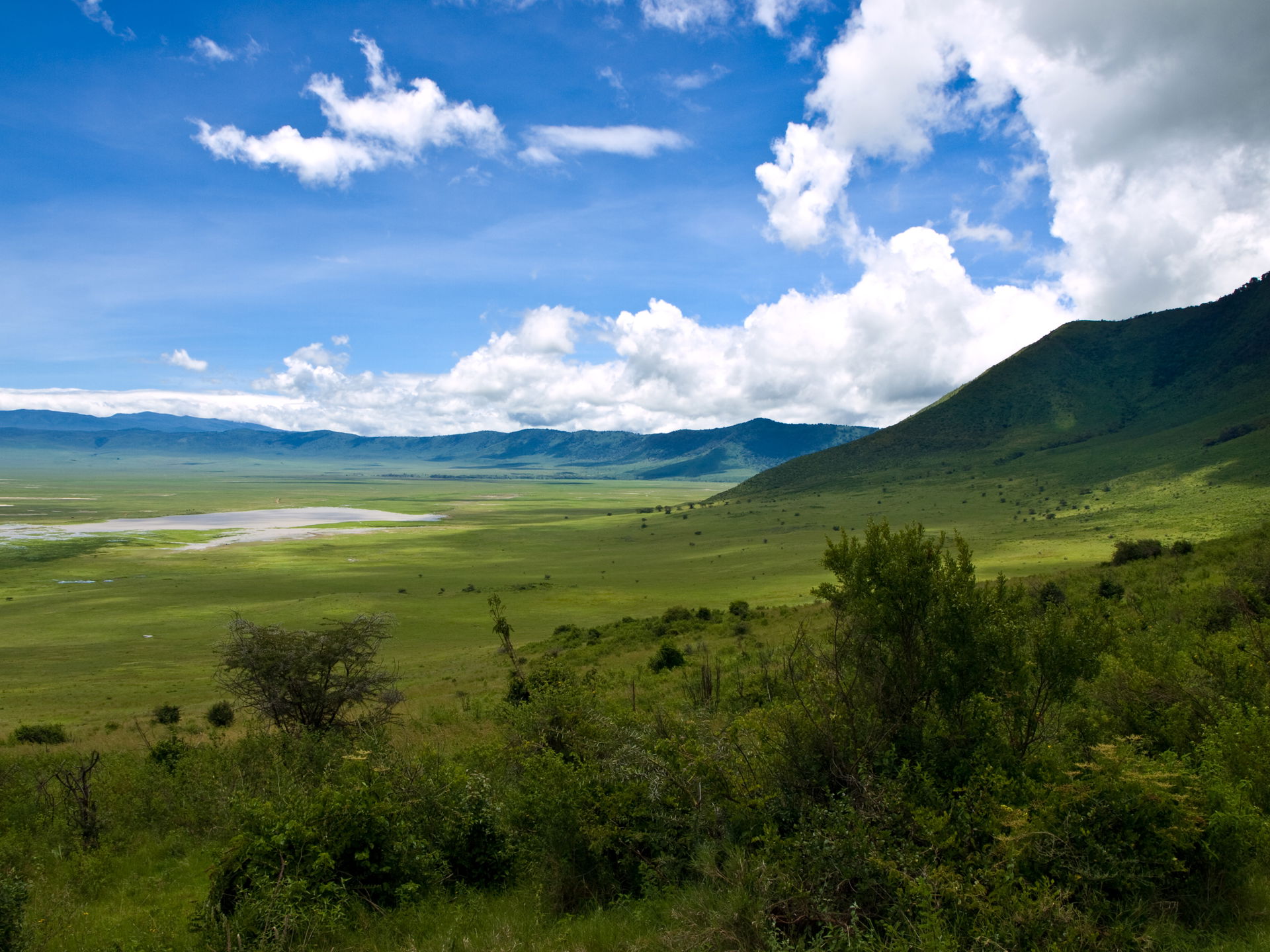 Landscape of the ridge at the edge of the Ngorongoro Crater, Ta…