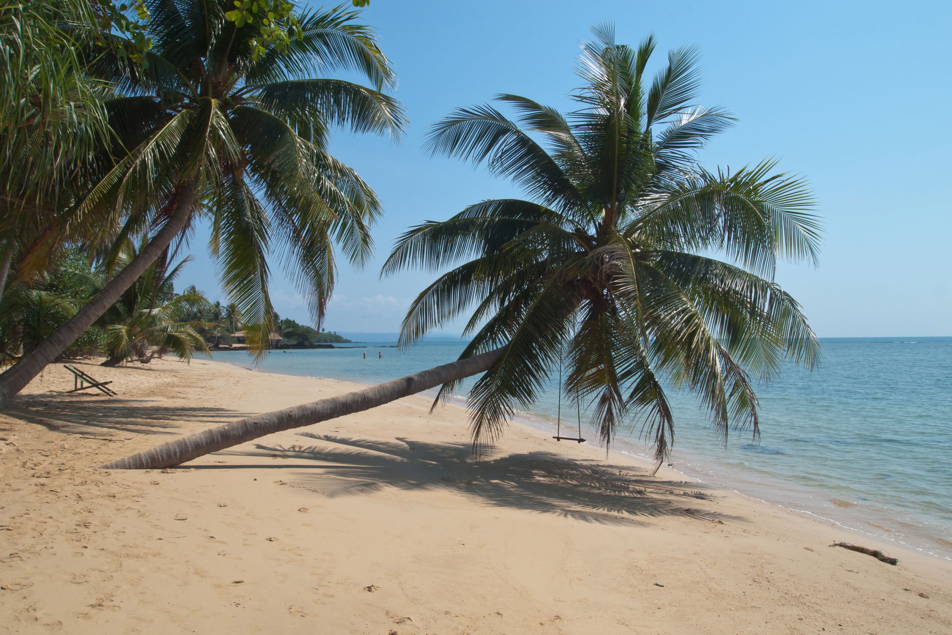 Palm trees on the beach. Koh Mak, beautiful and unspoiled tropi…