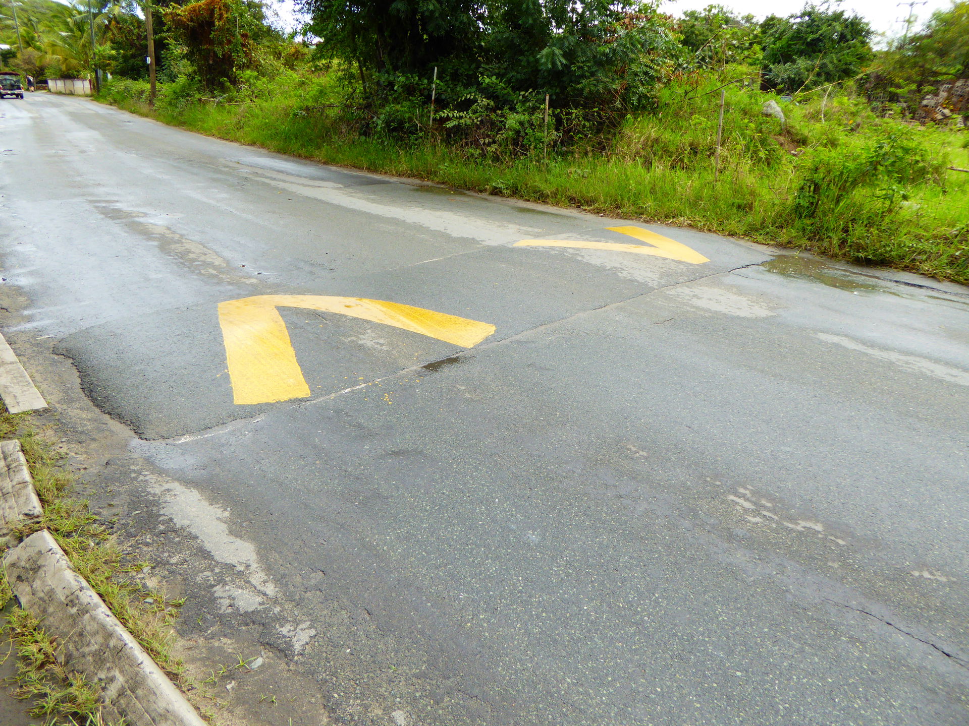 Speed bump
