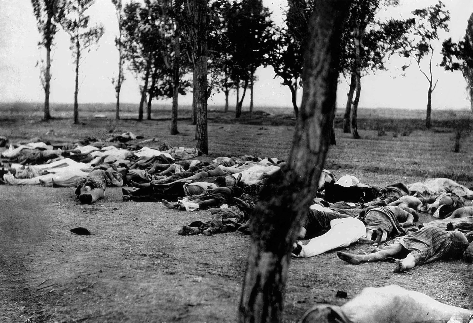 Picture showing Armenians killed during the Armenian Genocide. …