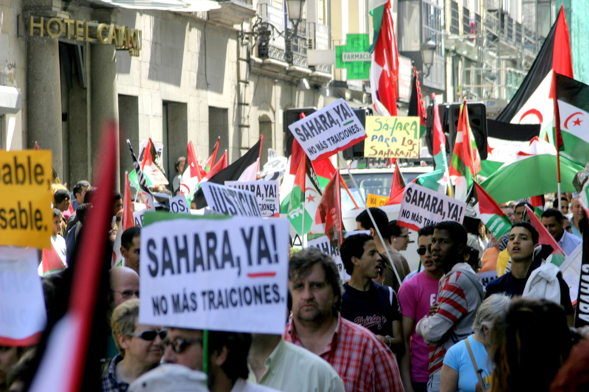 Demonstration in support of the independence of Western Sahara …