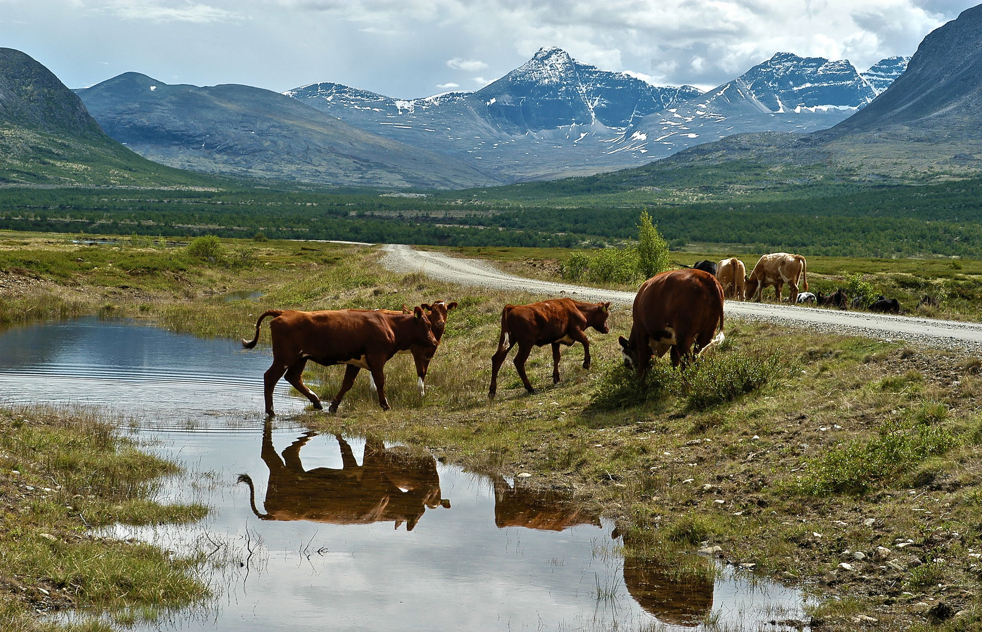 Grimsdalen i Rondane nasjonalpark, Innlandet