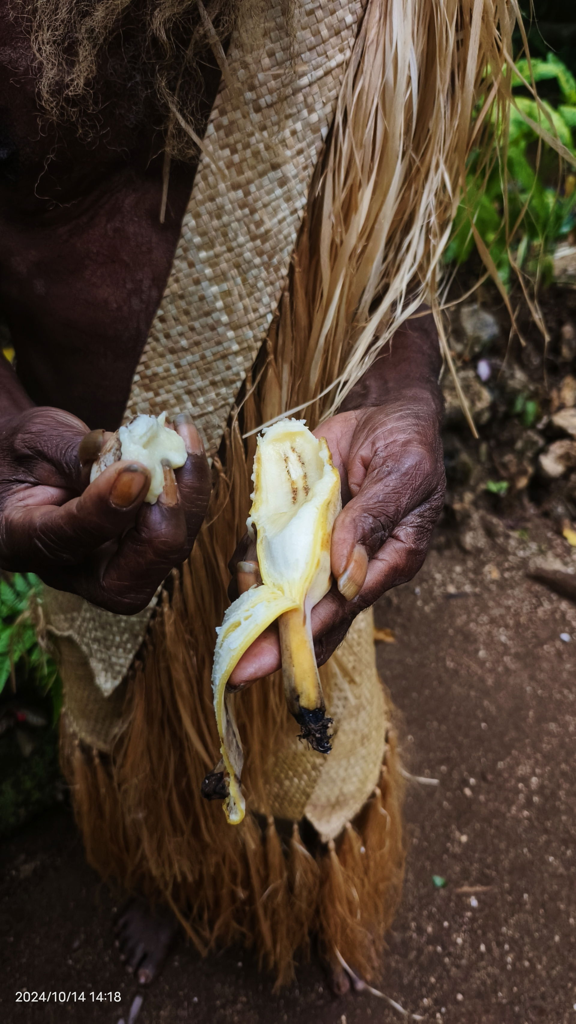 An old man from Vanuatu wearing traditional tribal clothes expl…