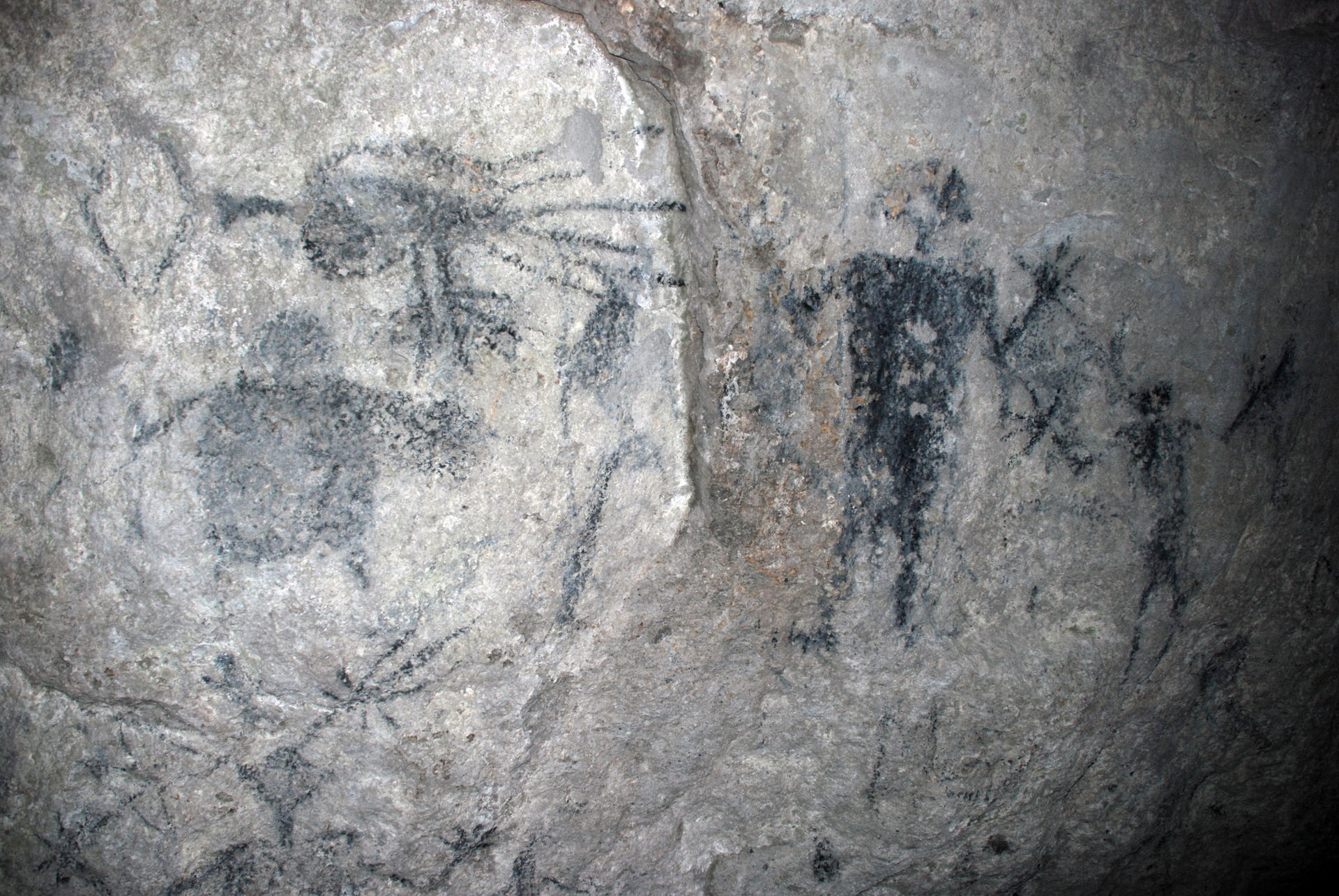 Cave drawings in Fels Cave, Lelepa Island. Dated at about 900AD…