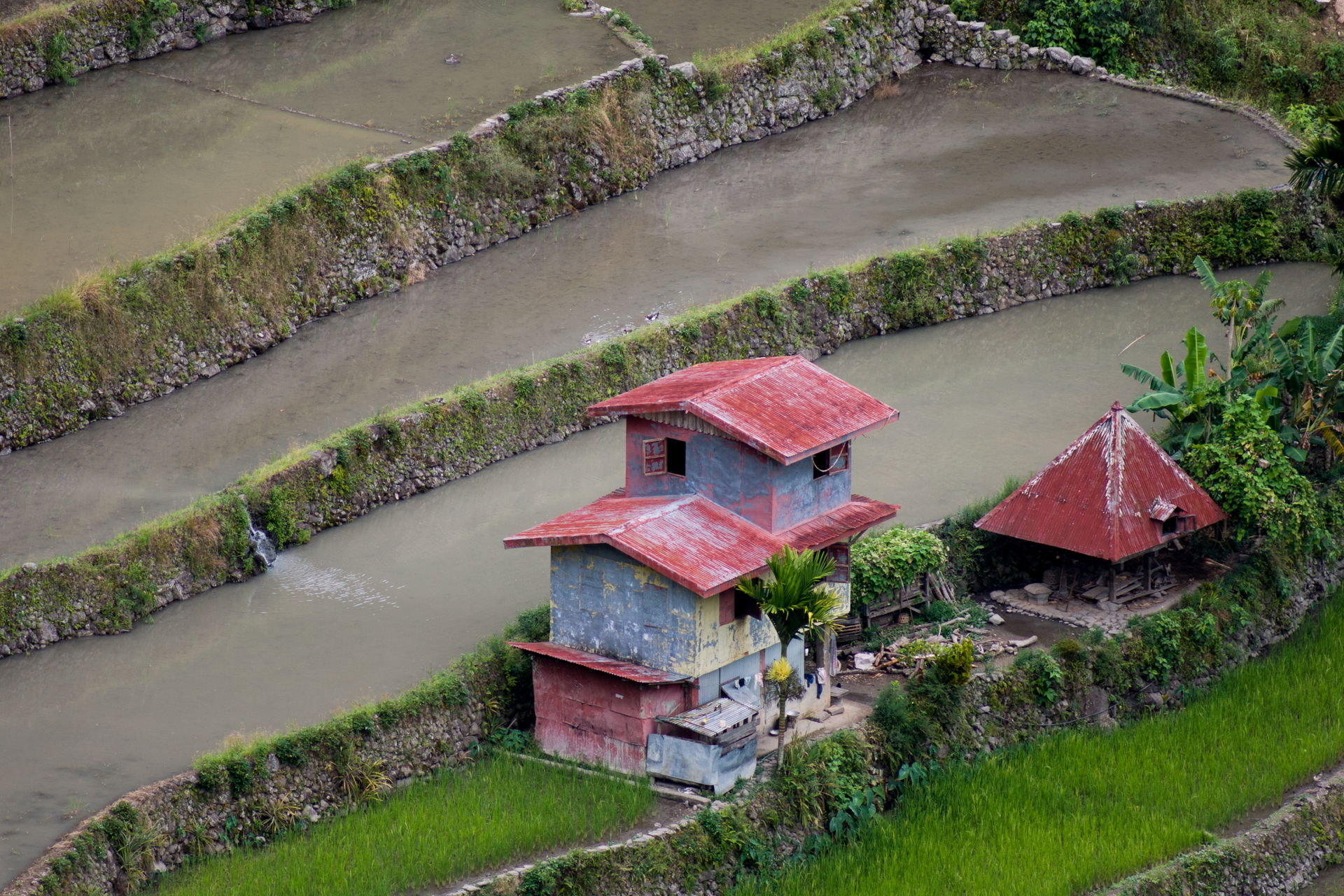 Banaue, Philippines: Batad Rice Terraces