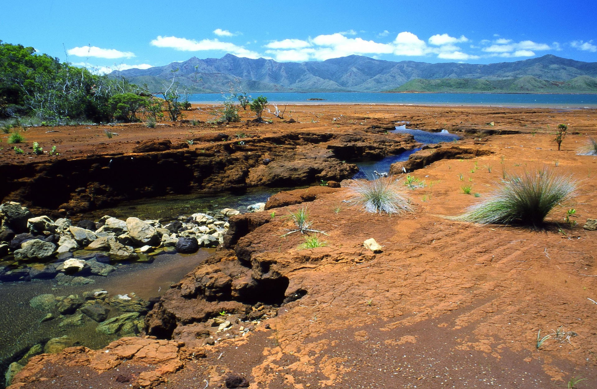 A Creek in Southern New Caledonia. Red colours reveal the richn…