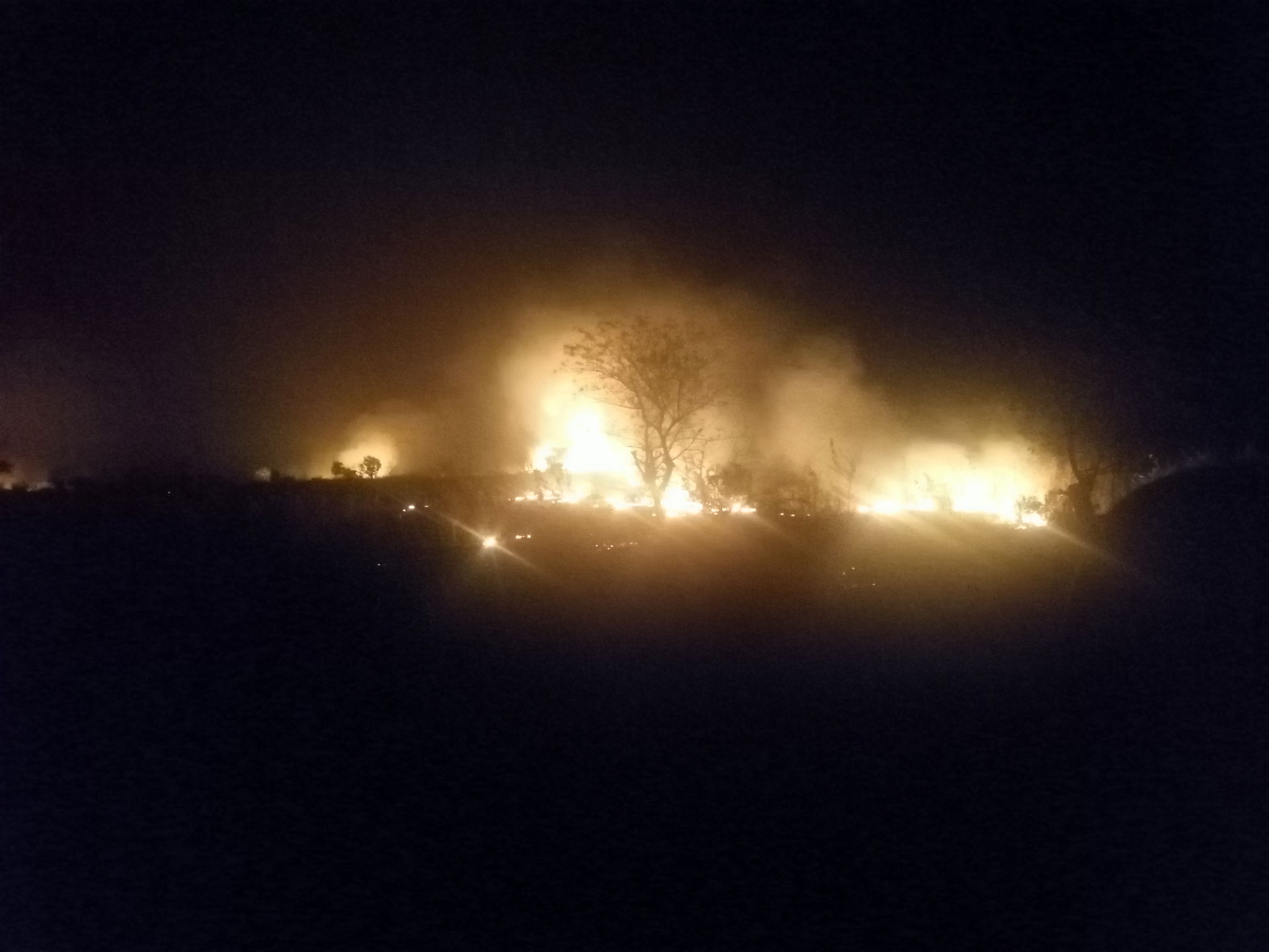 A wildfire burning at night near Farafenni, North Bank Region, …