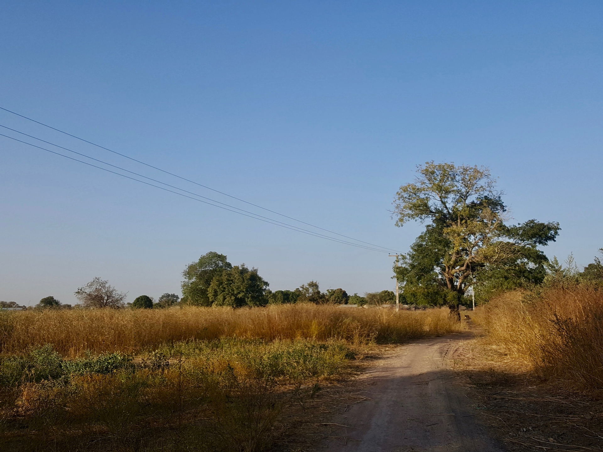 A snapshot of the rural countryside of the Lower River Division…