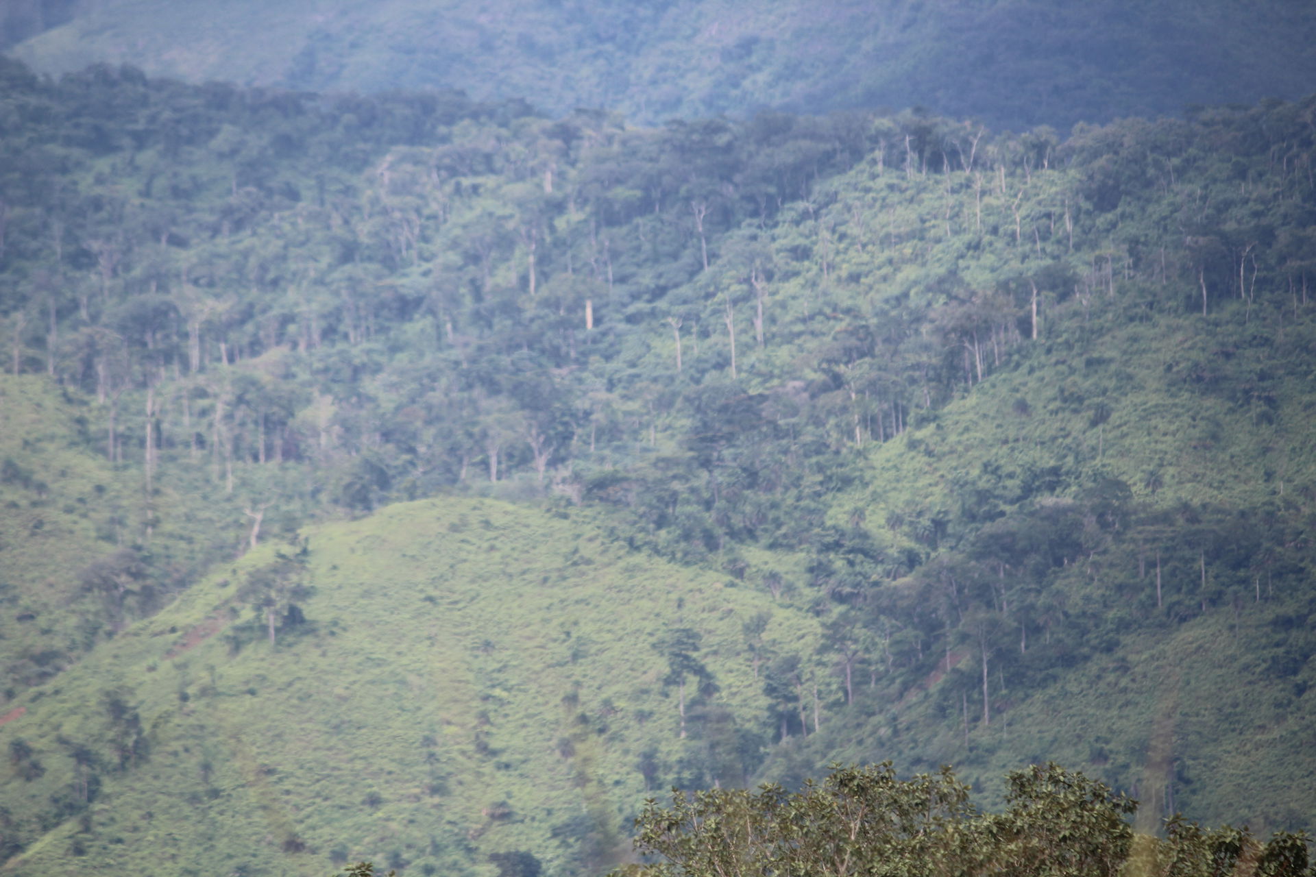 Monts Nimba