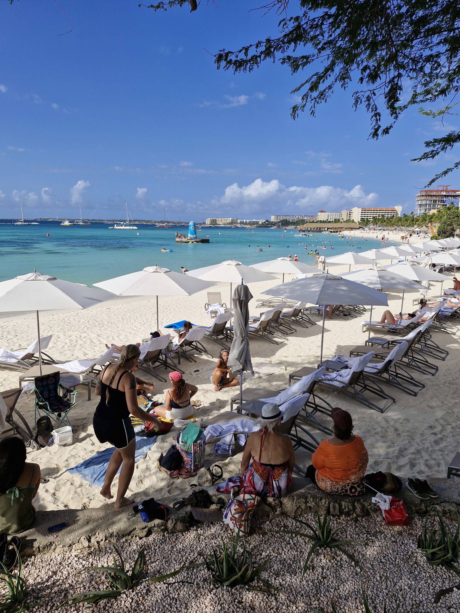 Peaceful community Land Back protest at Basiruti Beach, Aruba.