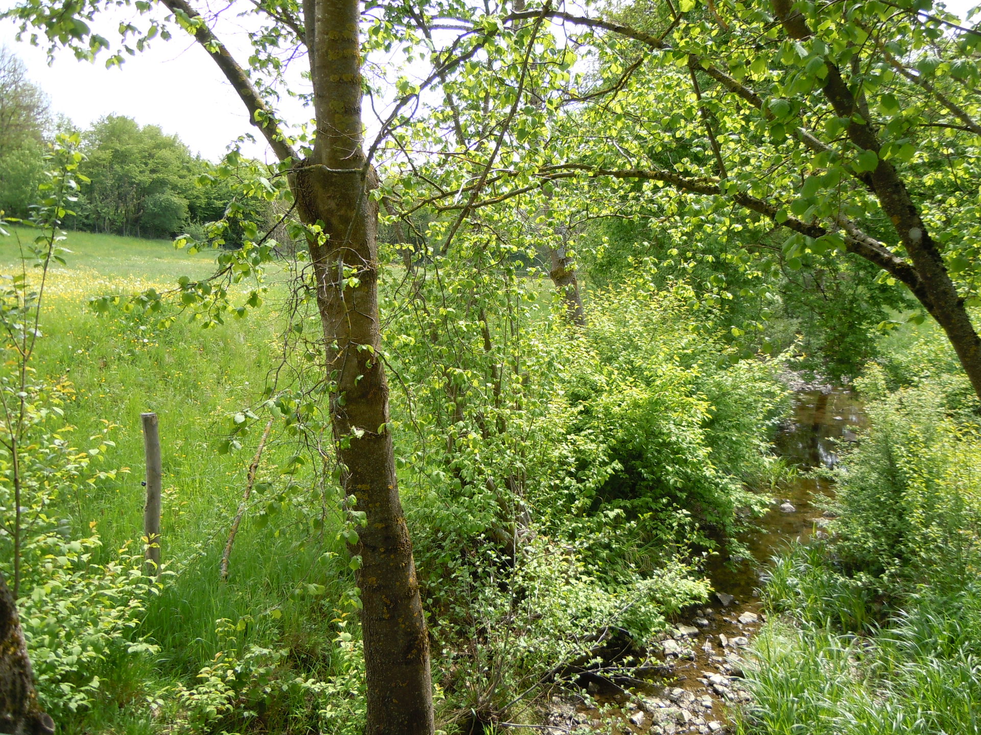 Möhringen view 1