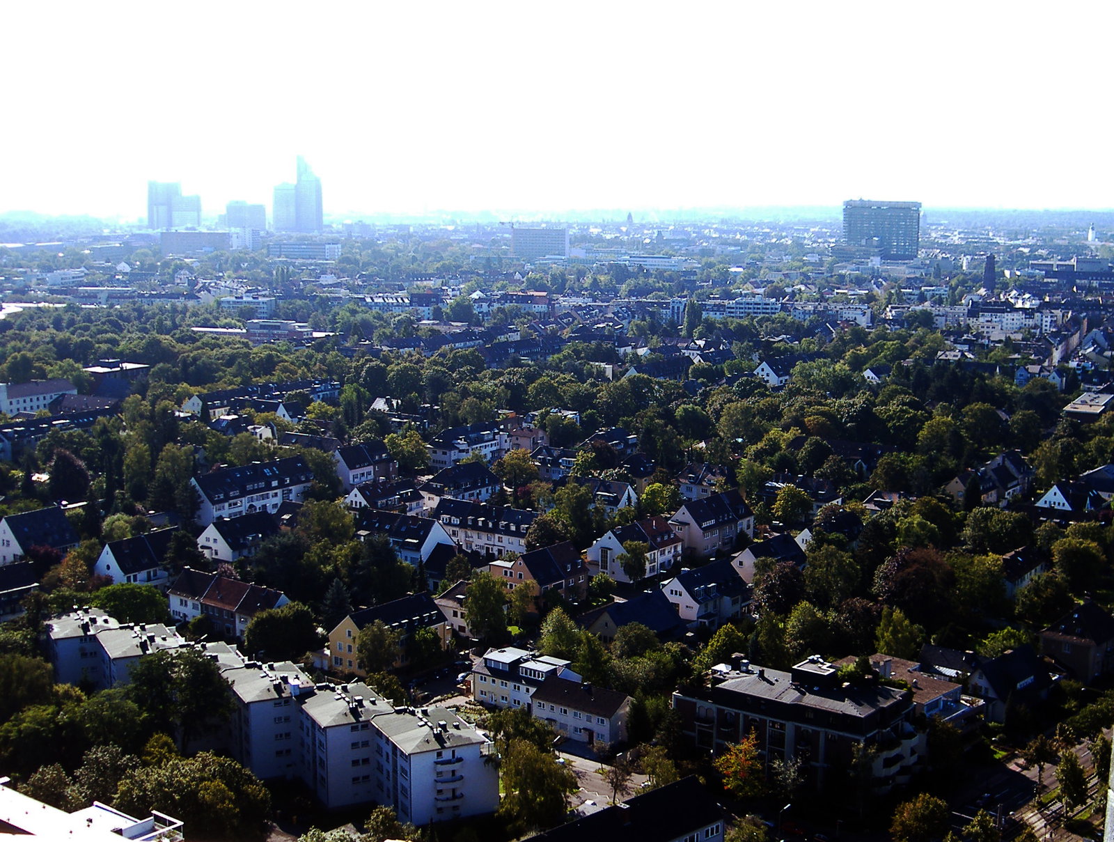 Lindenthal district