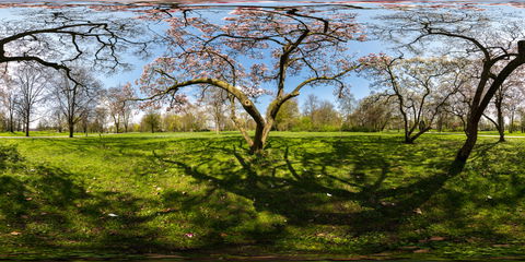 Biebrich view 2