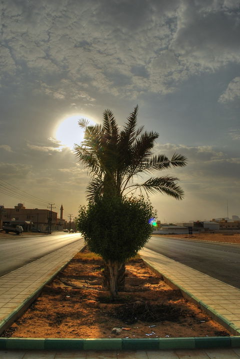 Al-Muzahimiyah view 1