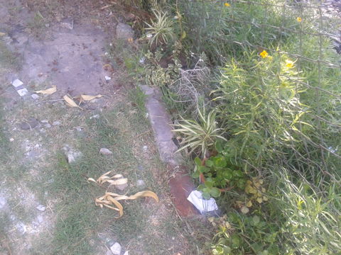 Beiro view 3