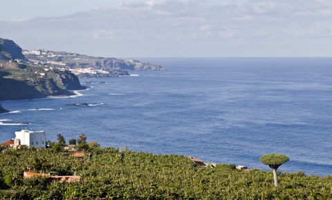Realejo view 1