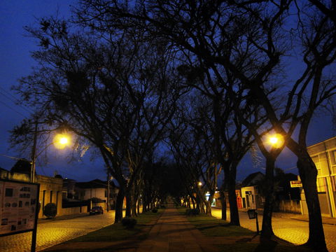 Lapa view 1