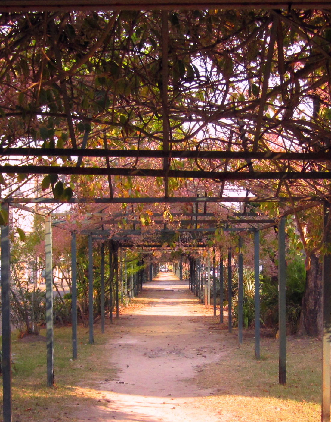 Vila Kosmos view 2