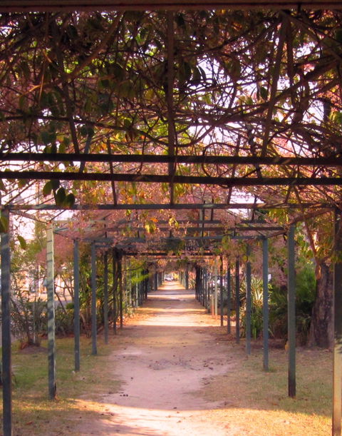 Vila Kosmos view 2