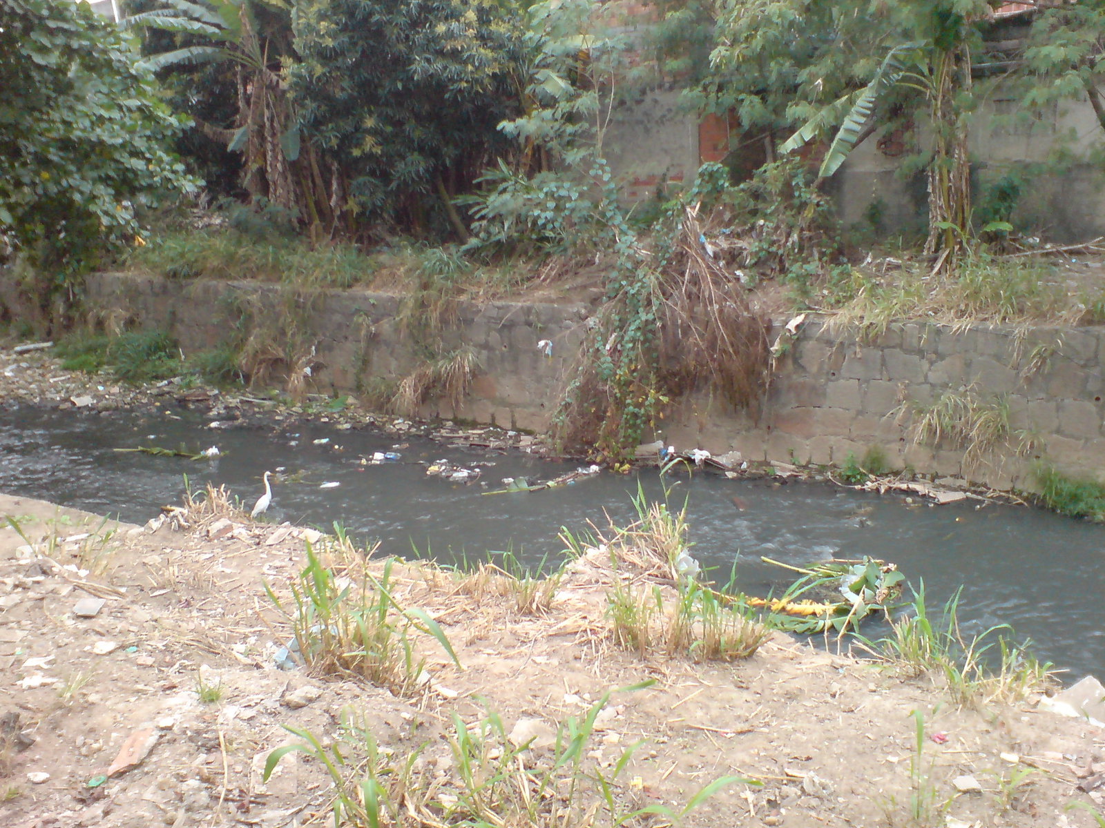 Rocha Miranda distrito