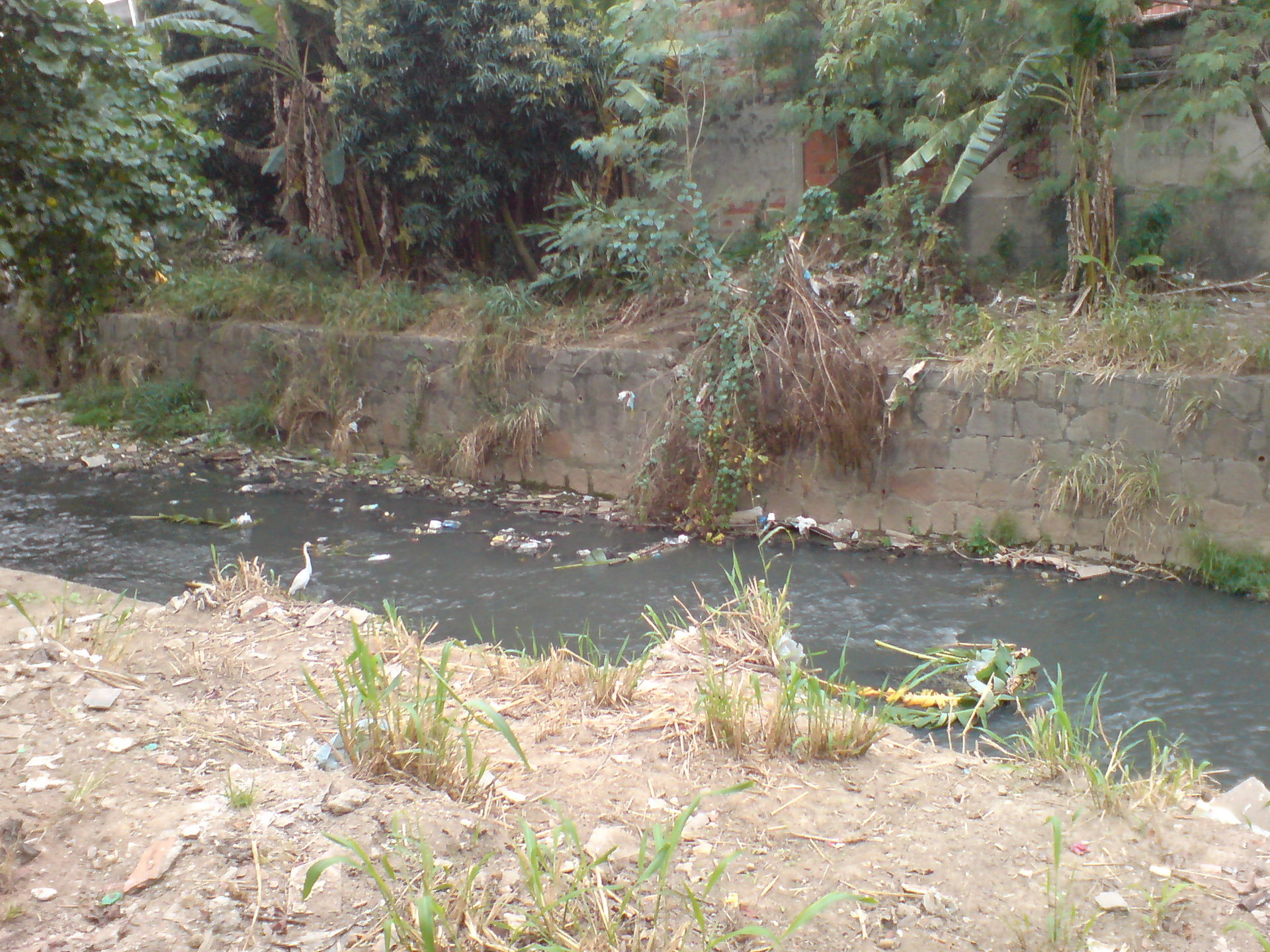 Rocha Miranda view 1